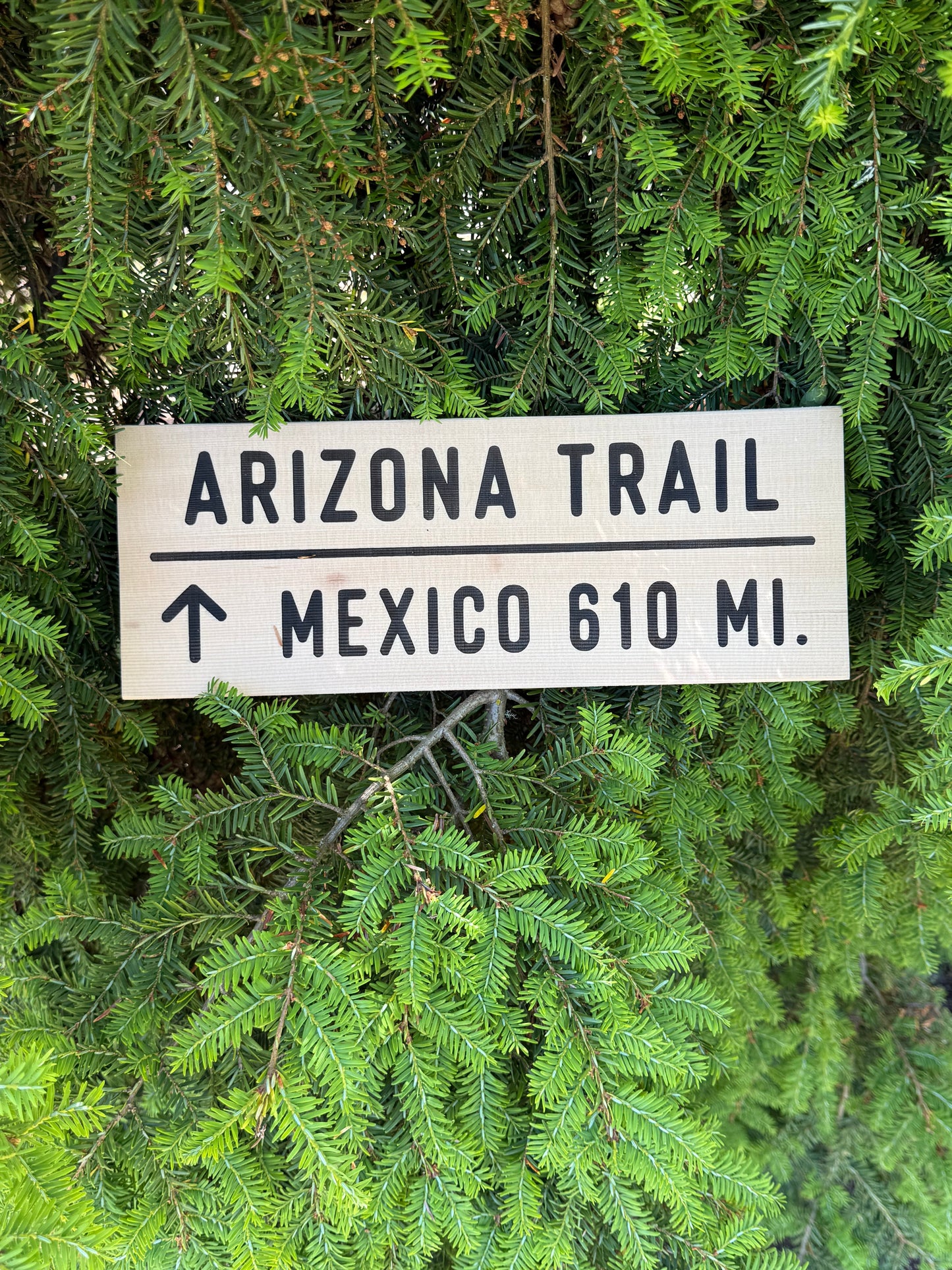 Arizona Trail Sign – Mexico 610 Miles