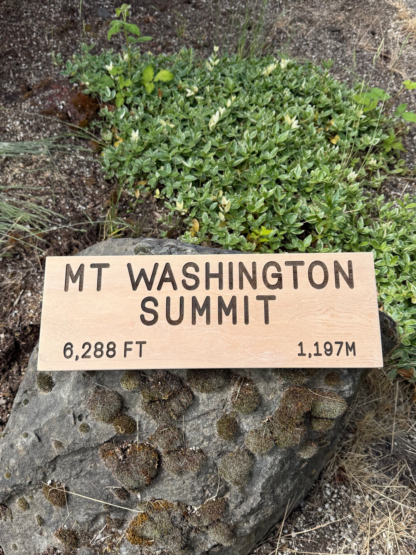 Appalachian Trail – Mt Washington Sign