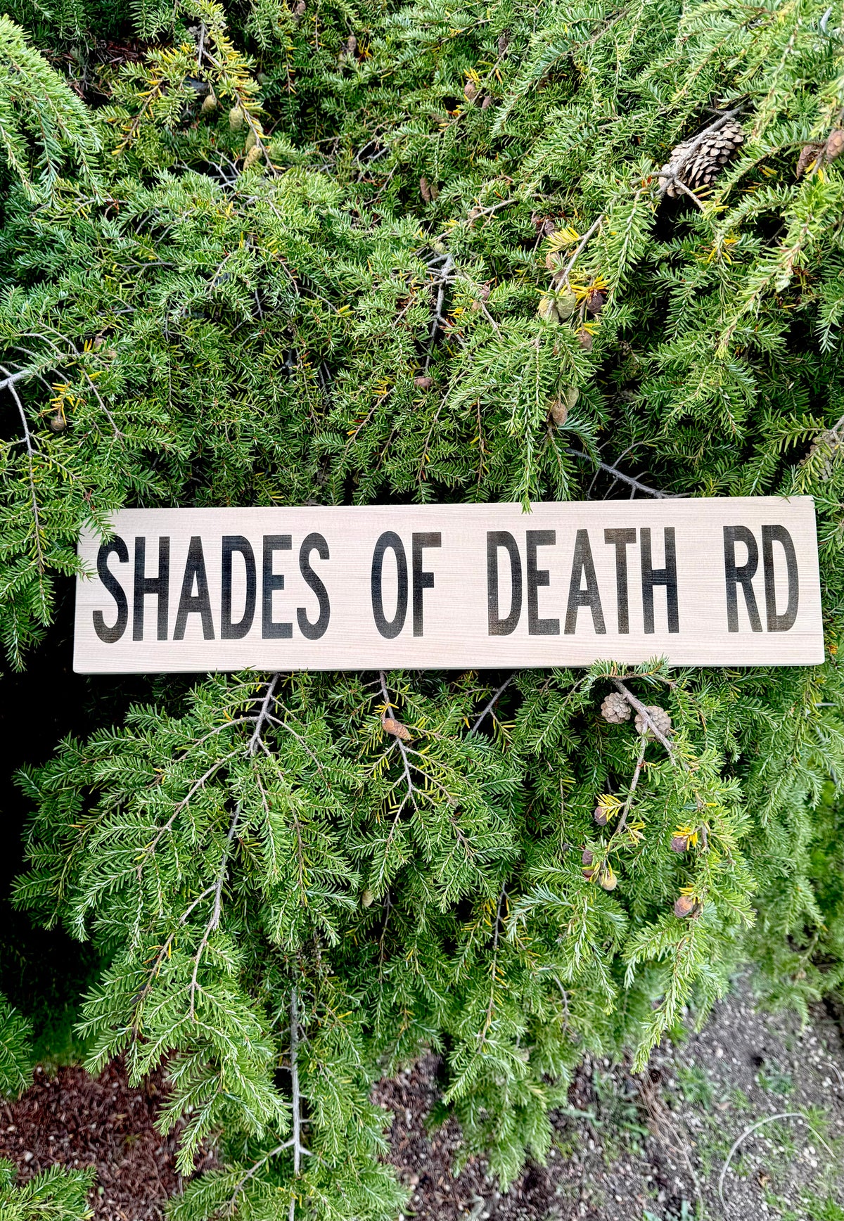 Shades of Death Road Wood Sign – Rustic Horror & Roadside Decor