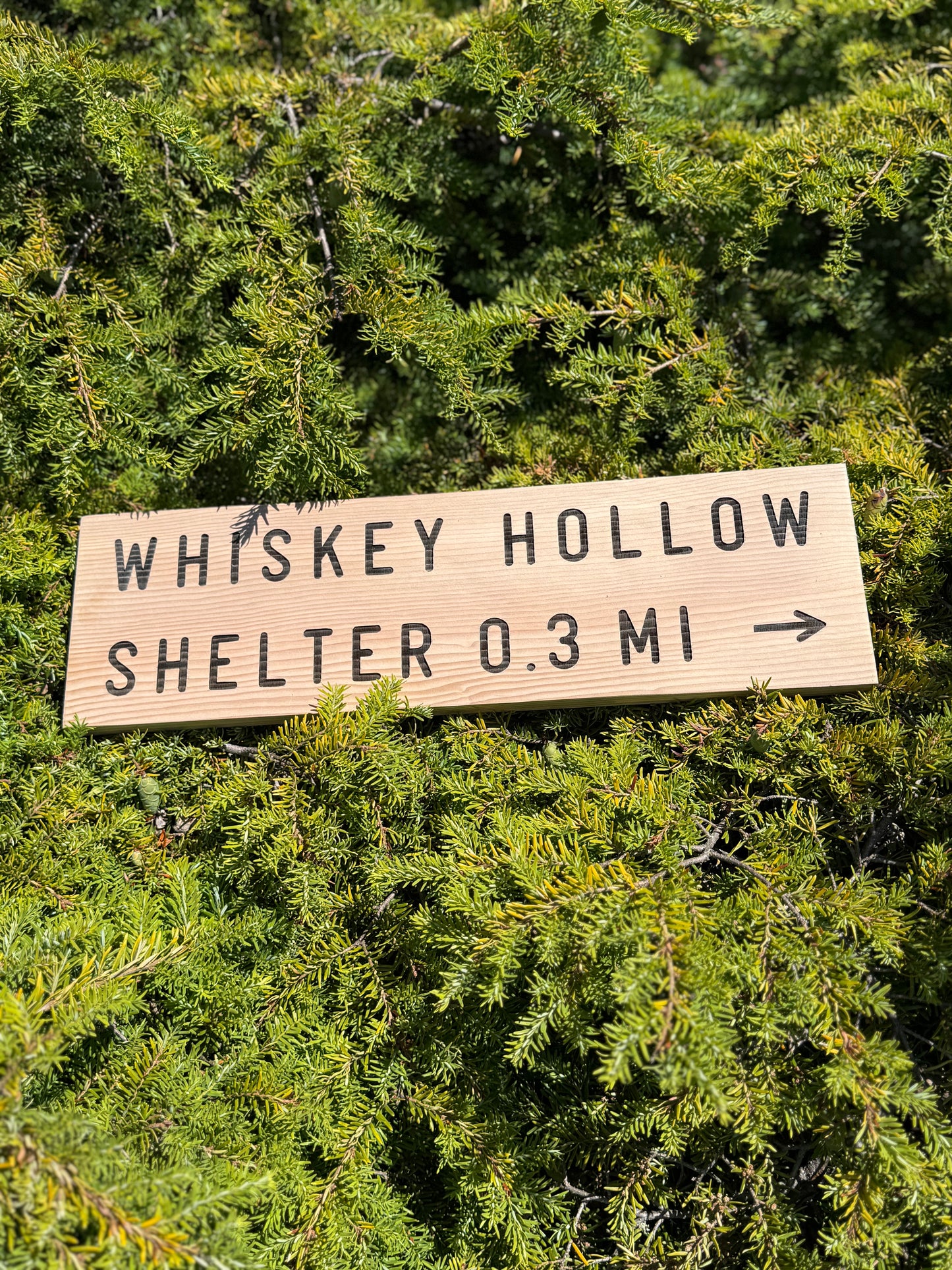 Appalachian Trail Sign – Whiskey Hollow Shelter