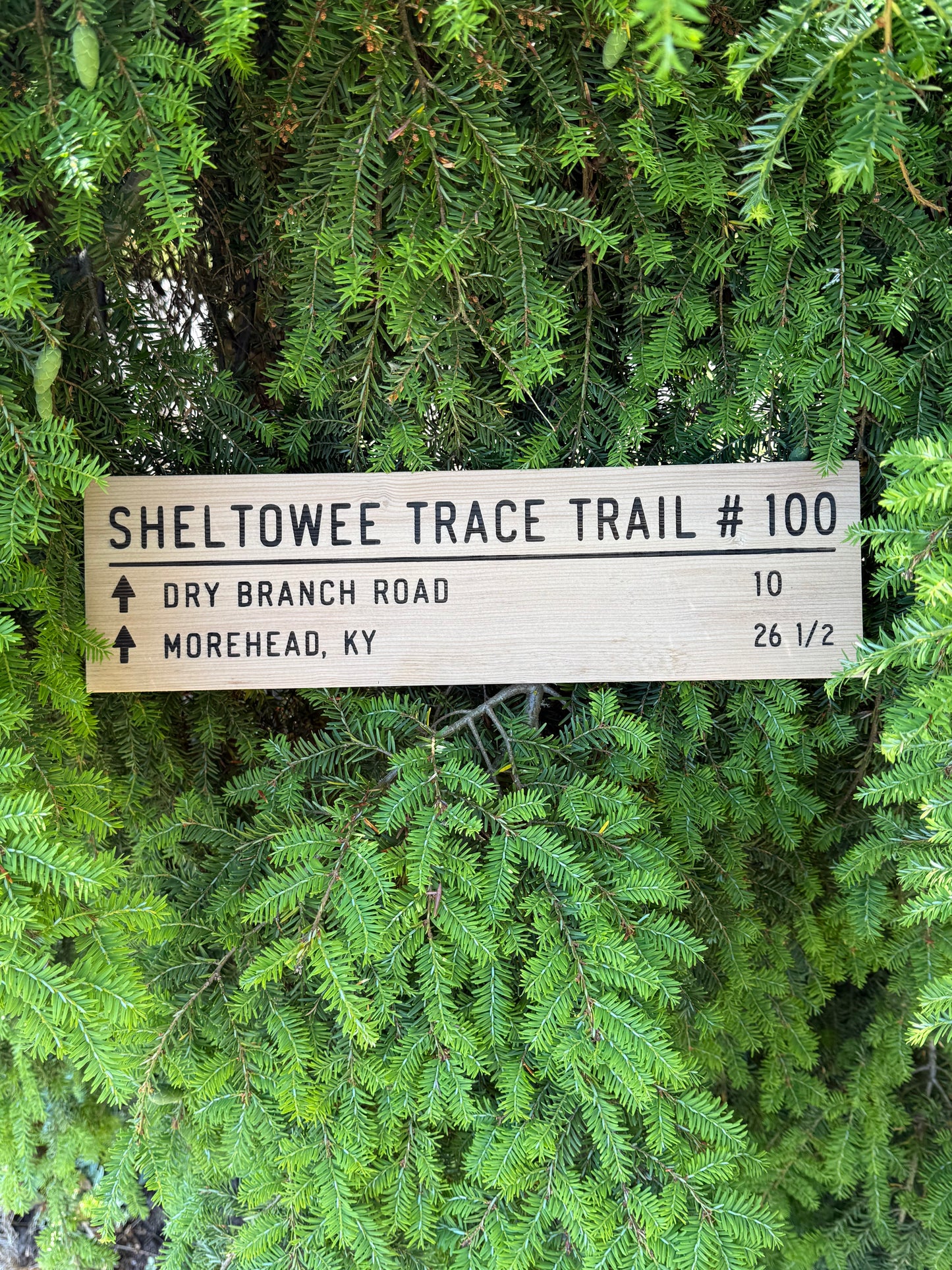 Sheltowee Trace Trail Sign – Dry Ranch Road