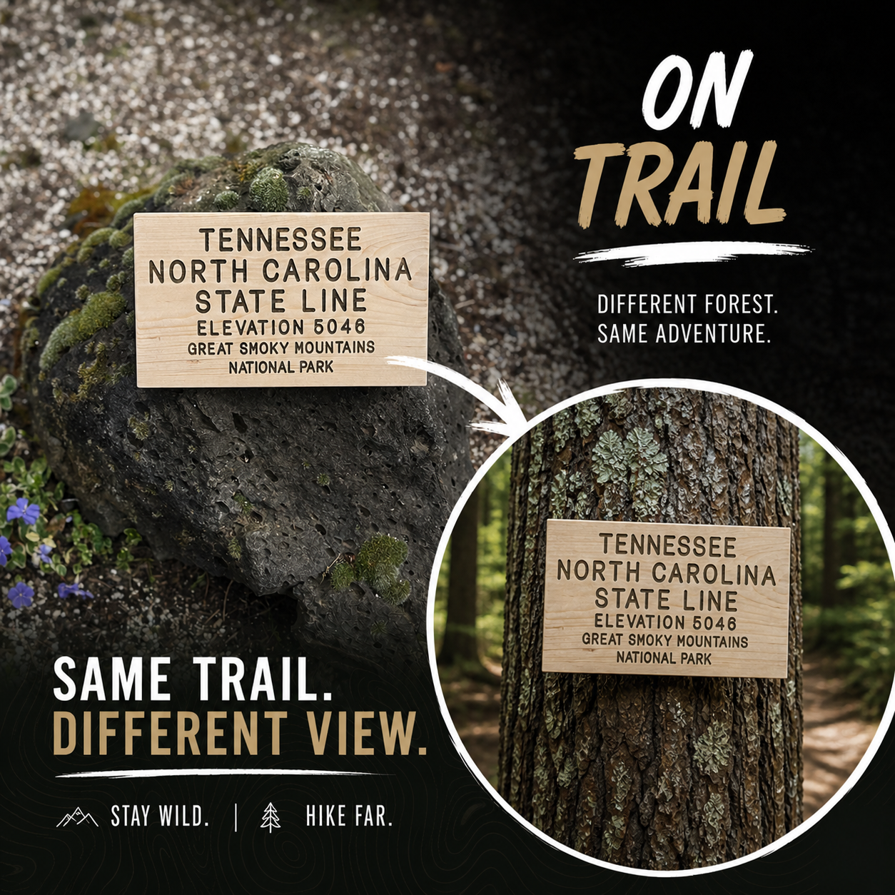 Appalachian Trail – Tennessee / North Carolina State Line
