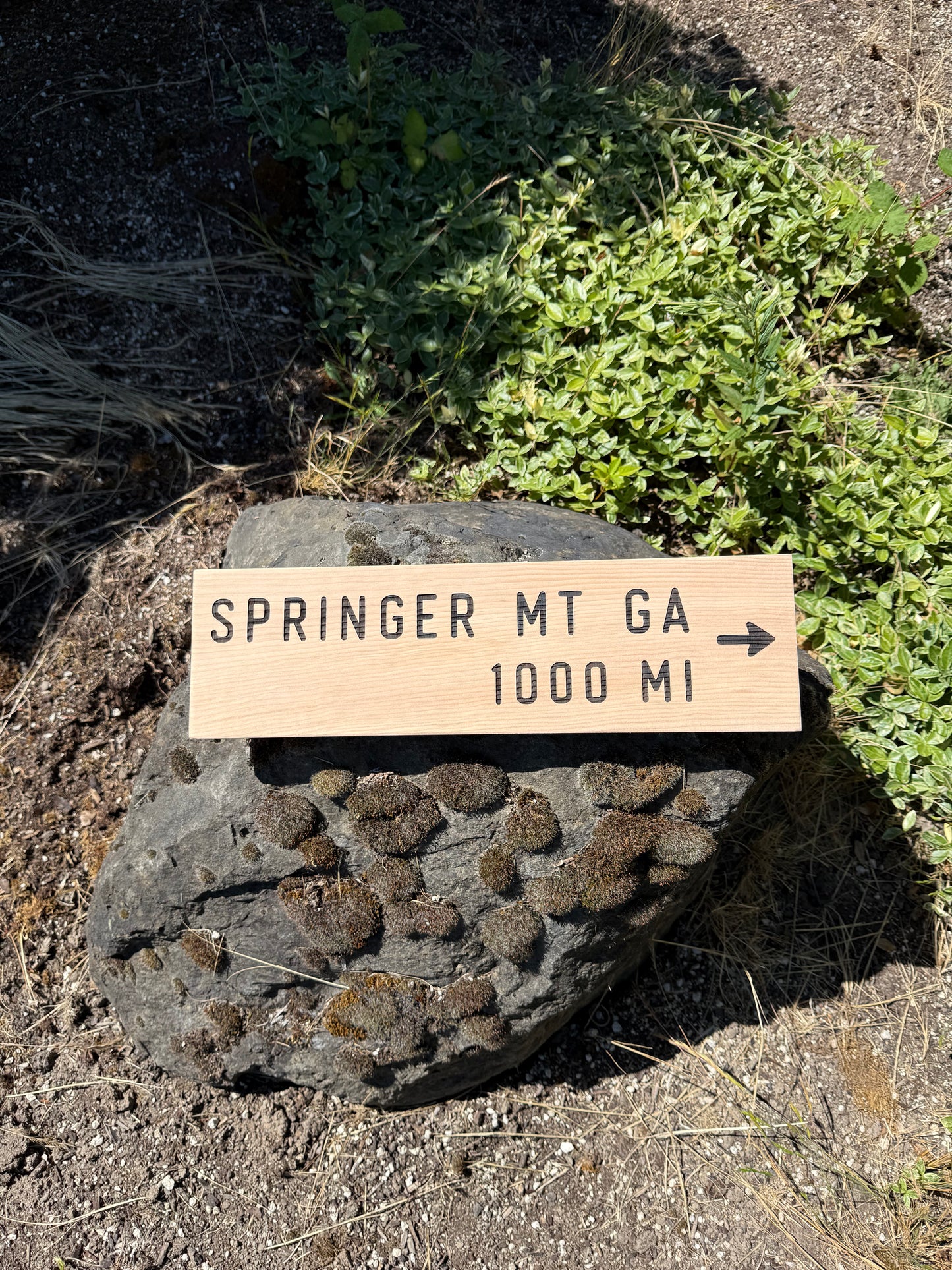 Wooden sign on a rock indicating 'Springer MT GA 1000 MI' with greenery in the background