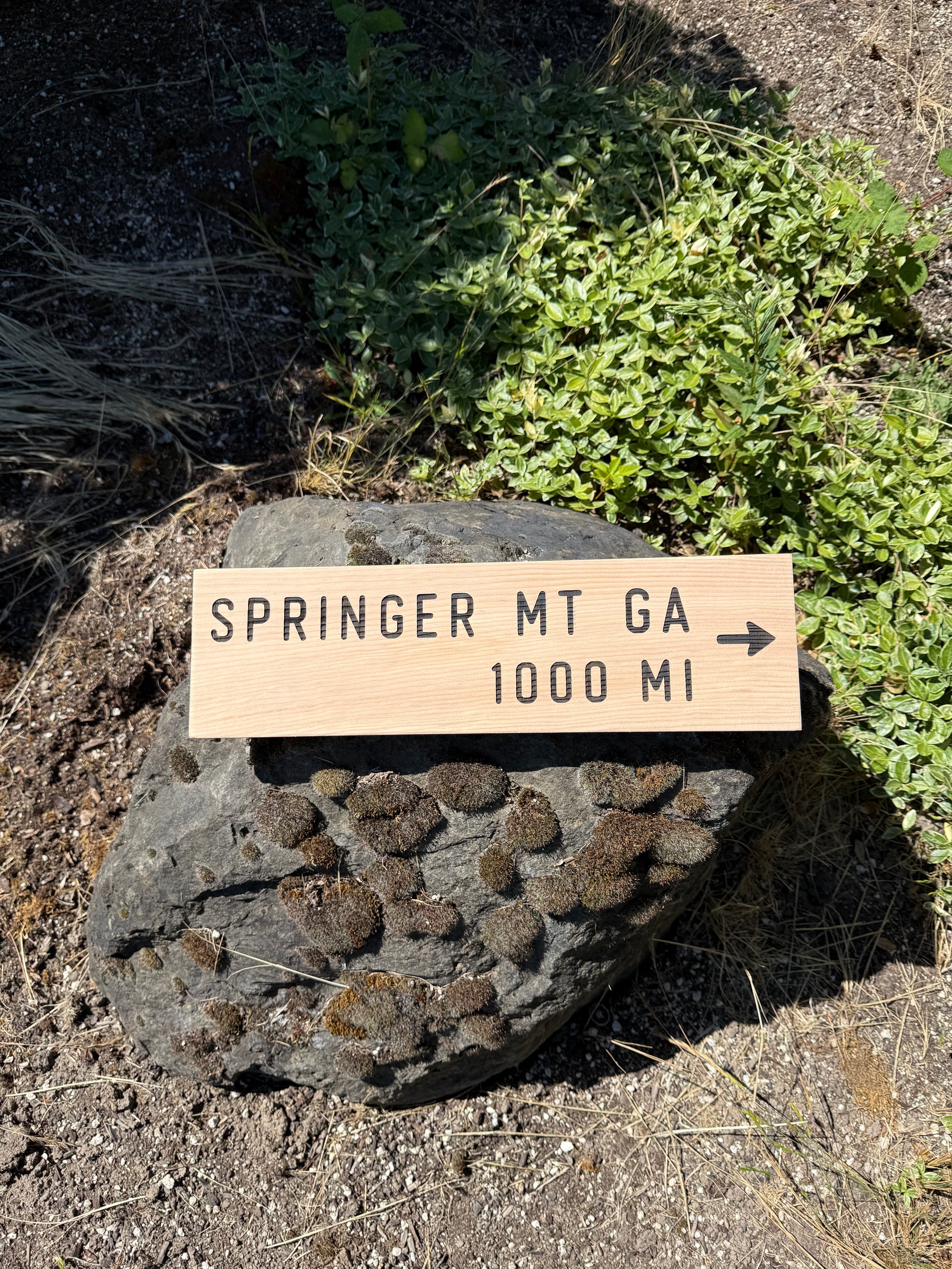 Wooden sign on a rock indicating 'Springer MT GA 1000 MI' with greenery in the background