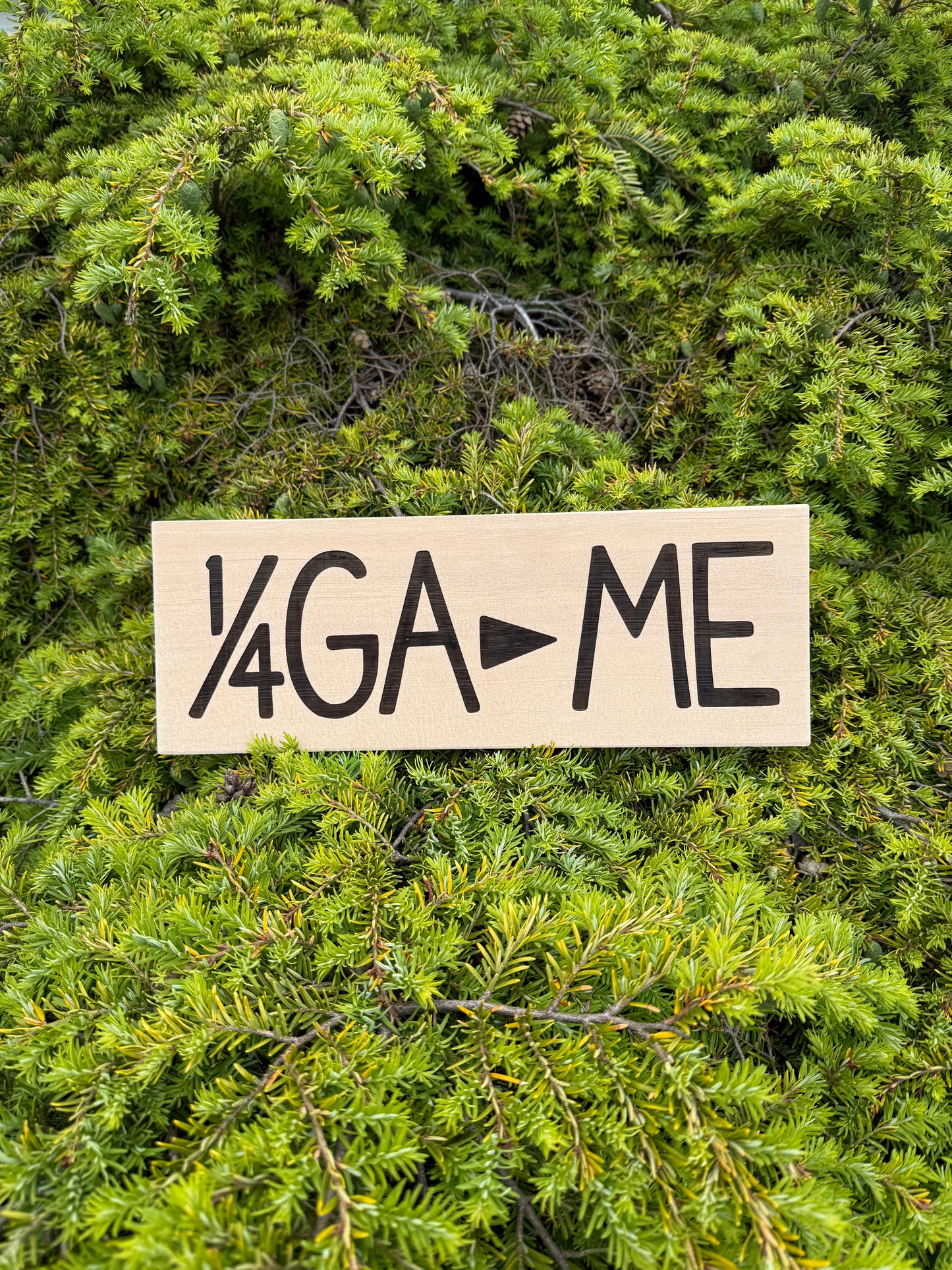 Appalachian Trail – Georgia to Maine