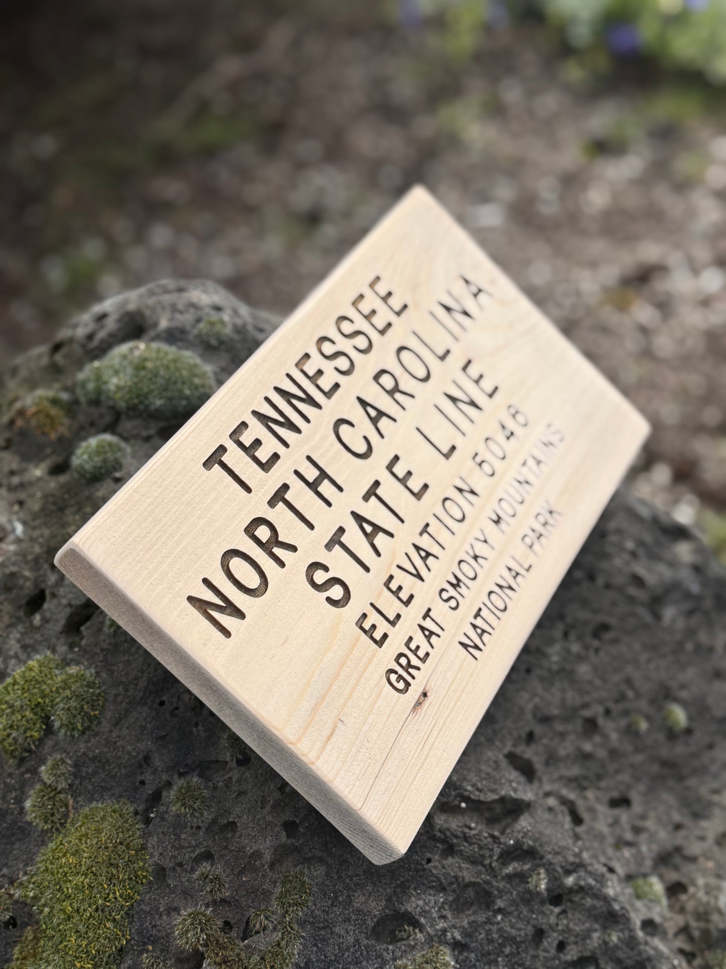 Appalachian Trail – Tennessee / North Carolina State Line