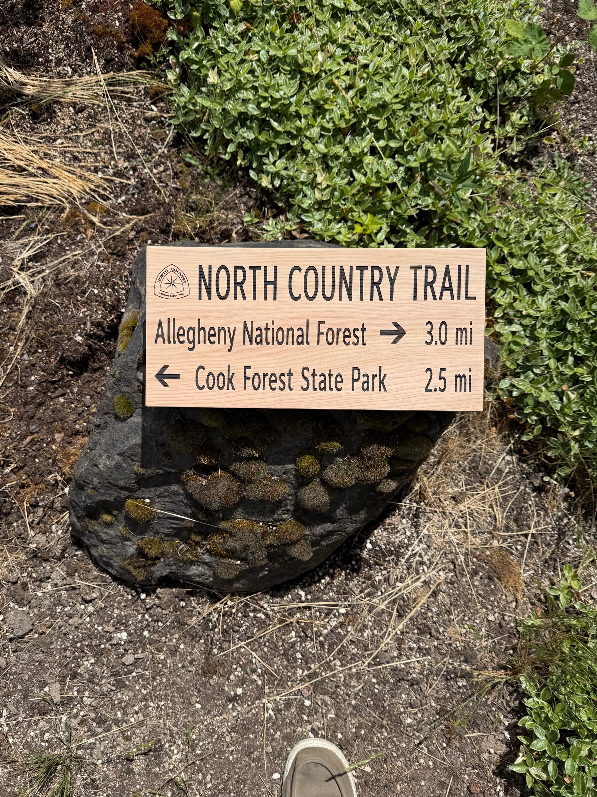 Wooden trail sign indicating directions to Allegheny National Forest and Cook Forest State Park on a natural ground background.