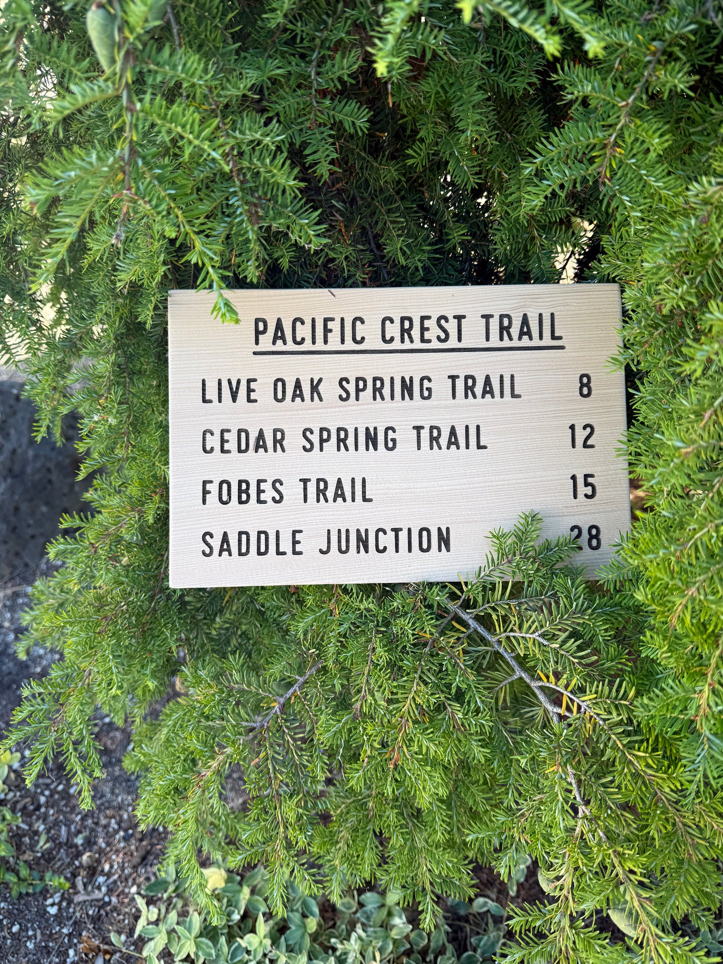 Pacific Crest Trail Sign Gift - Live Oak Spring Trail