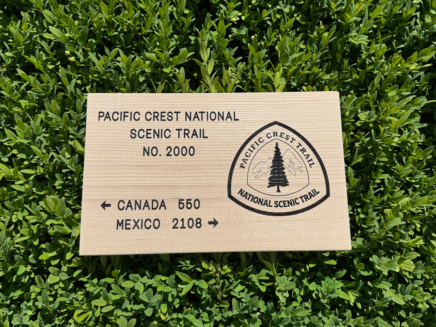 Pacifica Crest National Scenic Trail stamp on grass