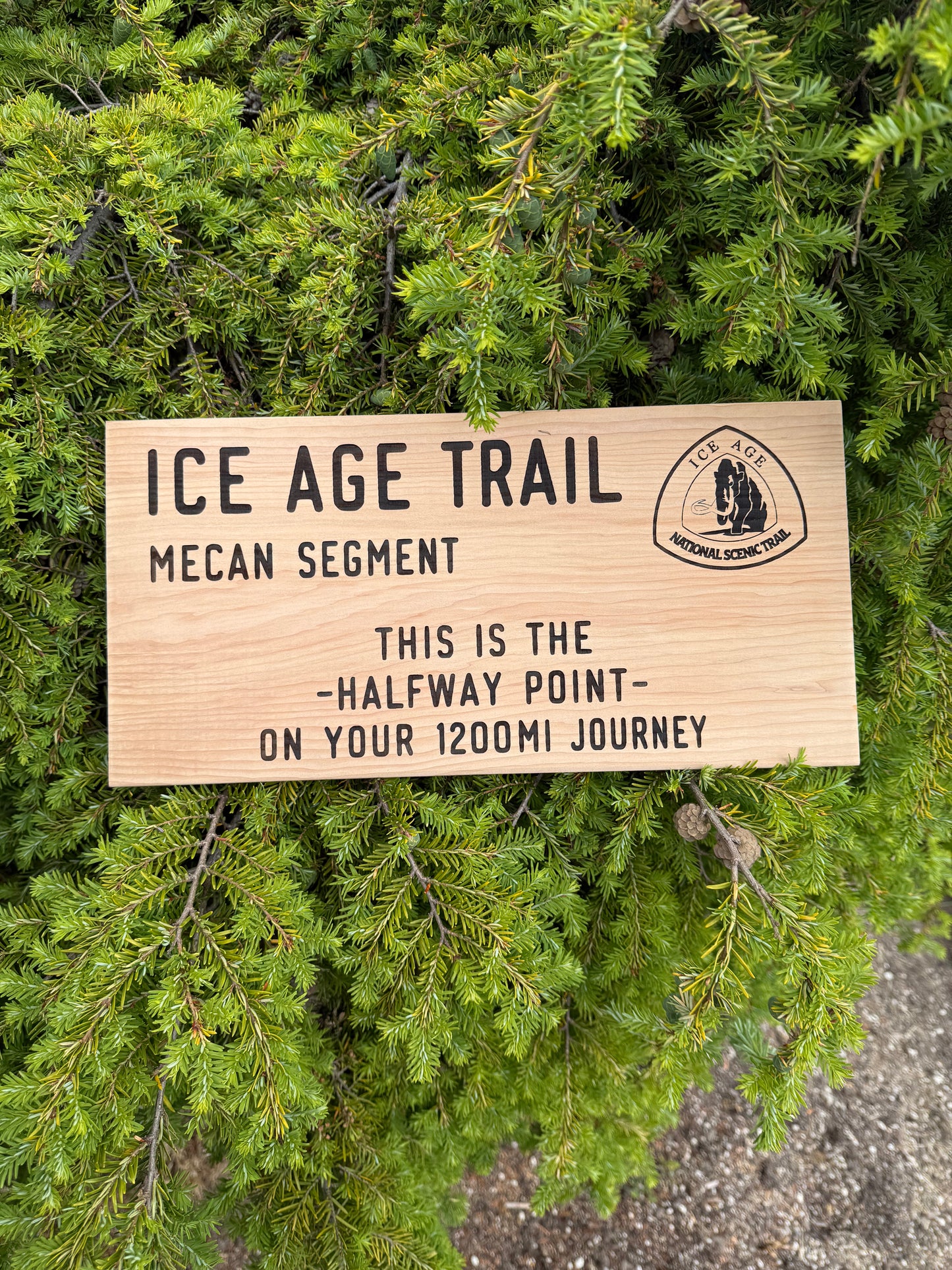 Ice Age Trail – Mecan Segment