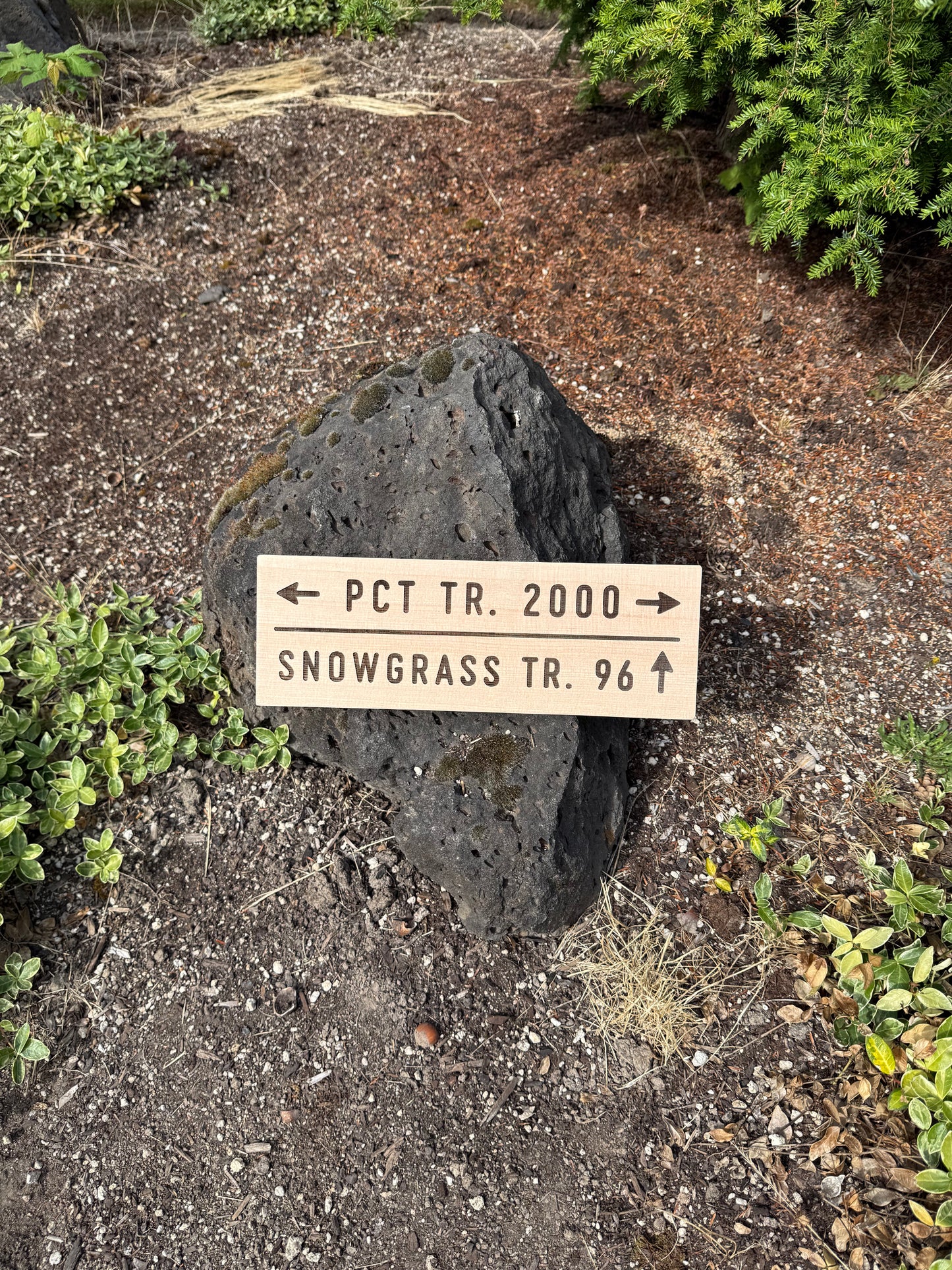 Pacific Crest Trail – Snowgrass Trail #96