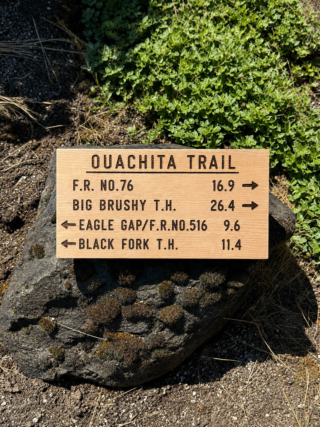 Ouachita Trail Sign – Eagle Gap Big Brushy