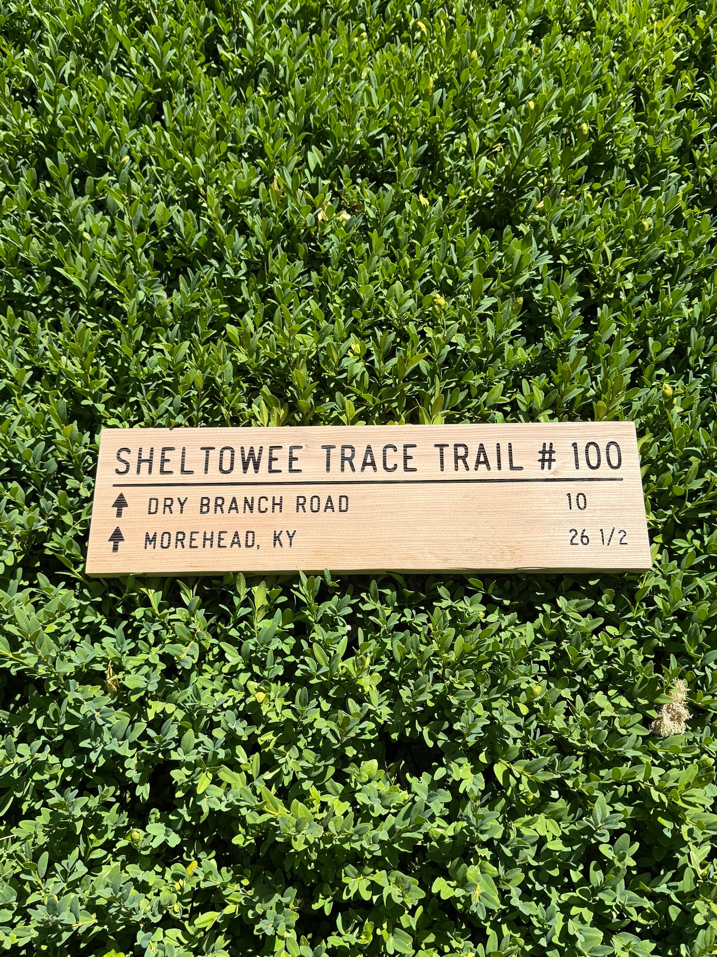 Sheltowee Trace Trail Sign – Dry Ranch Road