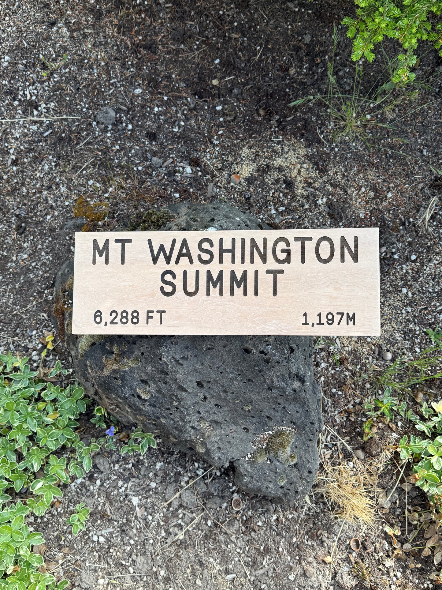 Appalachian Trail – Mt Washington Sign