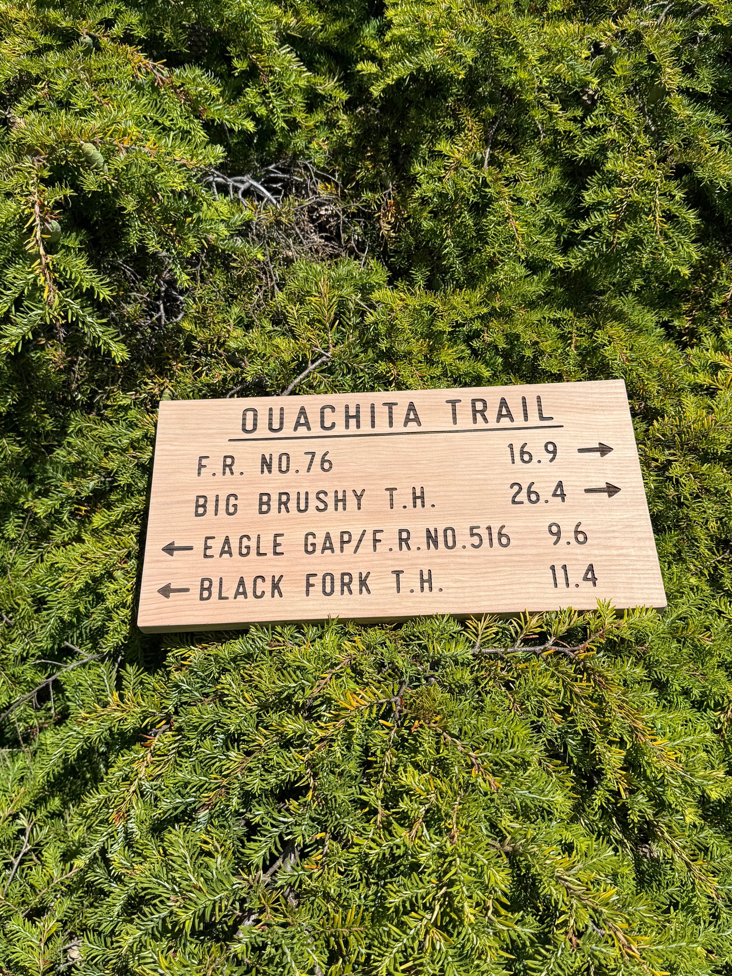Ouachita Trail Sign – Eagle Gap Big Brushy