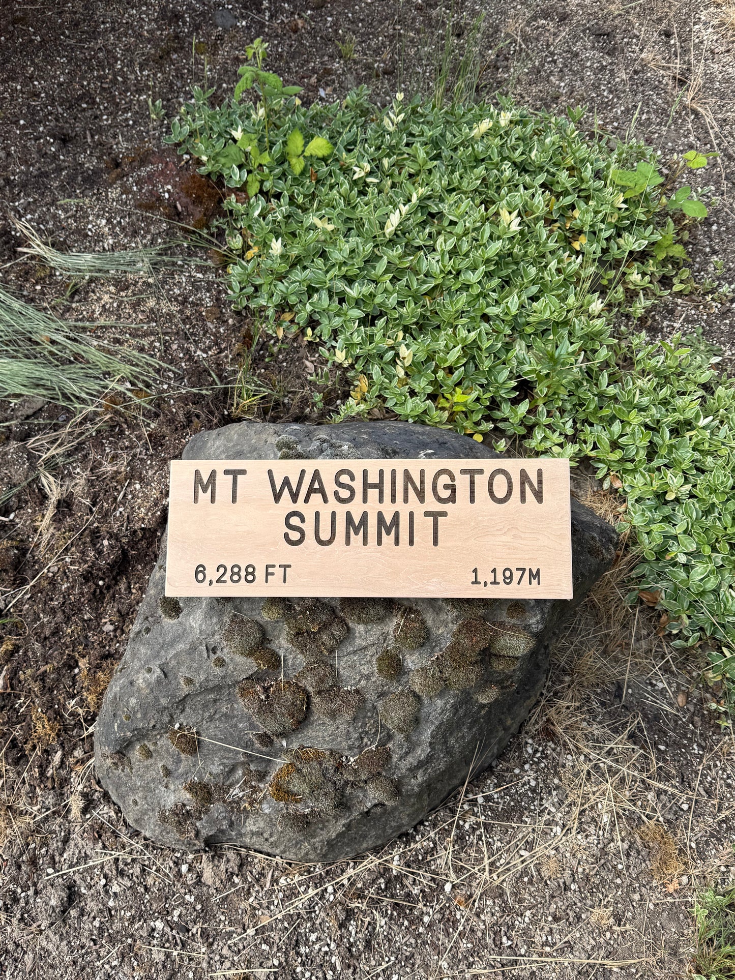 Appalachian Trail – Mt Washington Sign