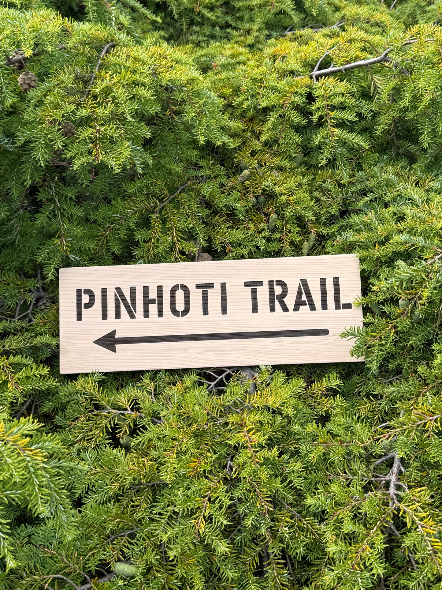 Pinhoti Trail Sign Hiker Gift