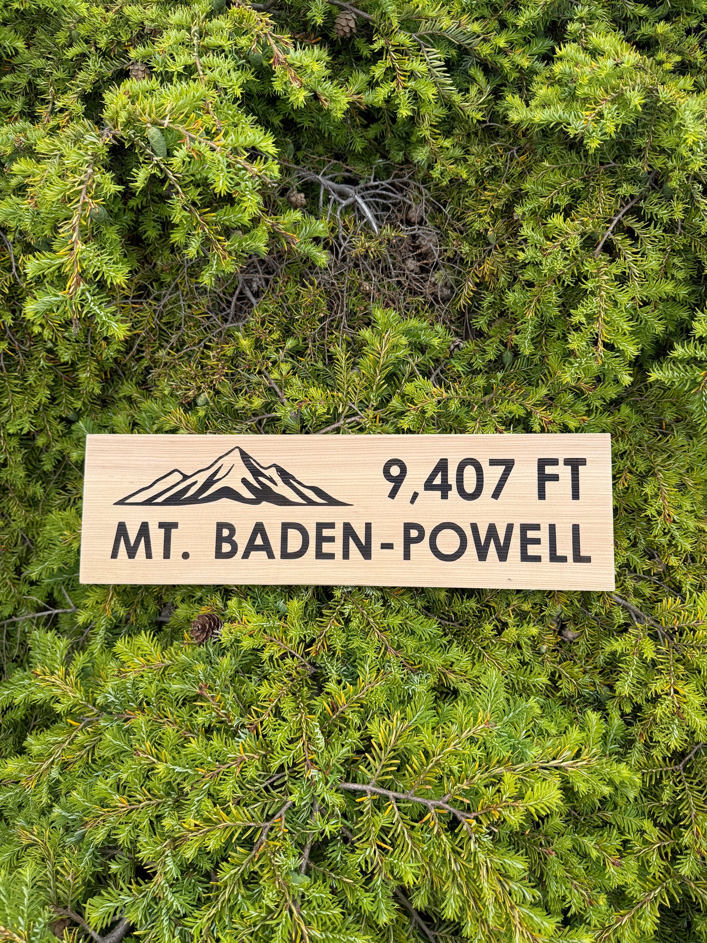Pacific Crest Trail – Mt Baden Powell