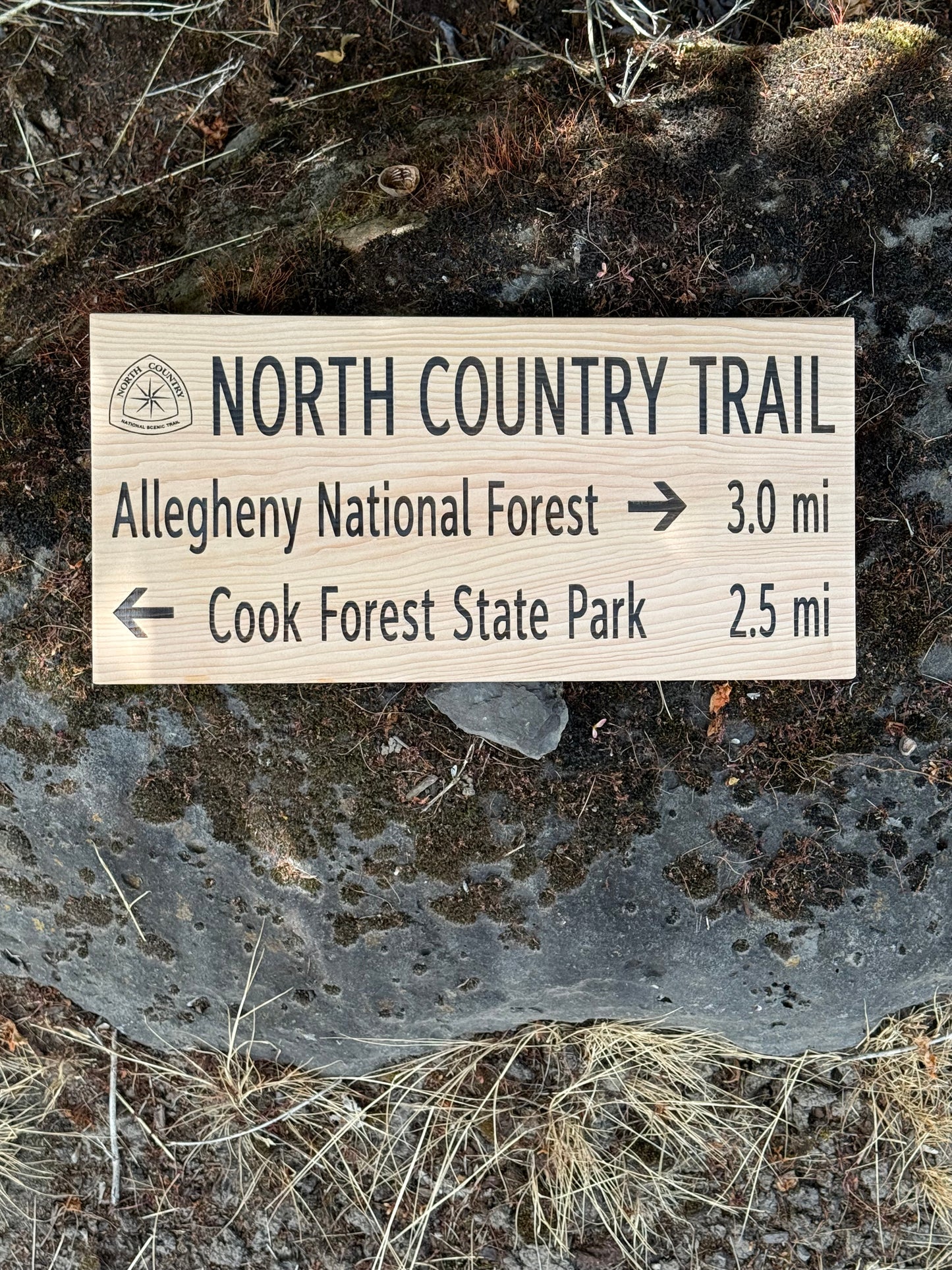 North Country Trail – Alleghany National Forest