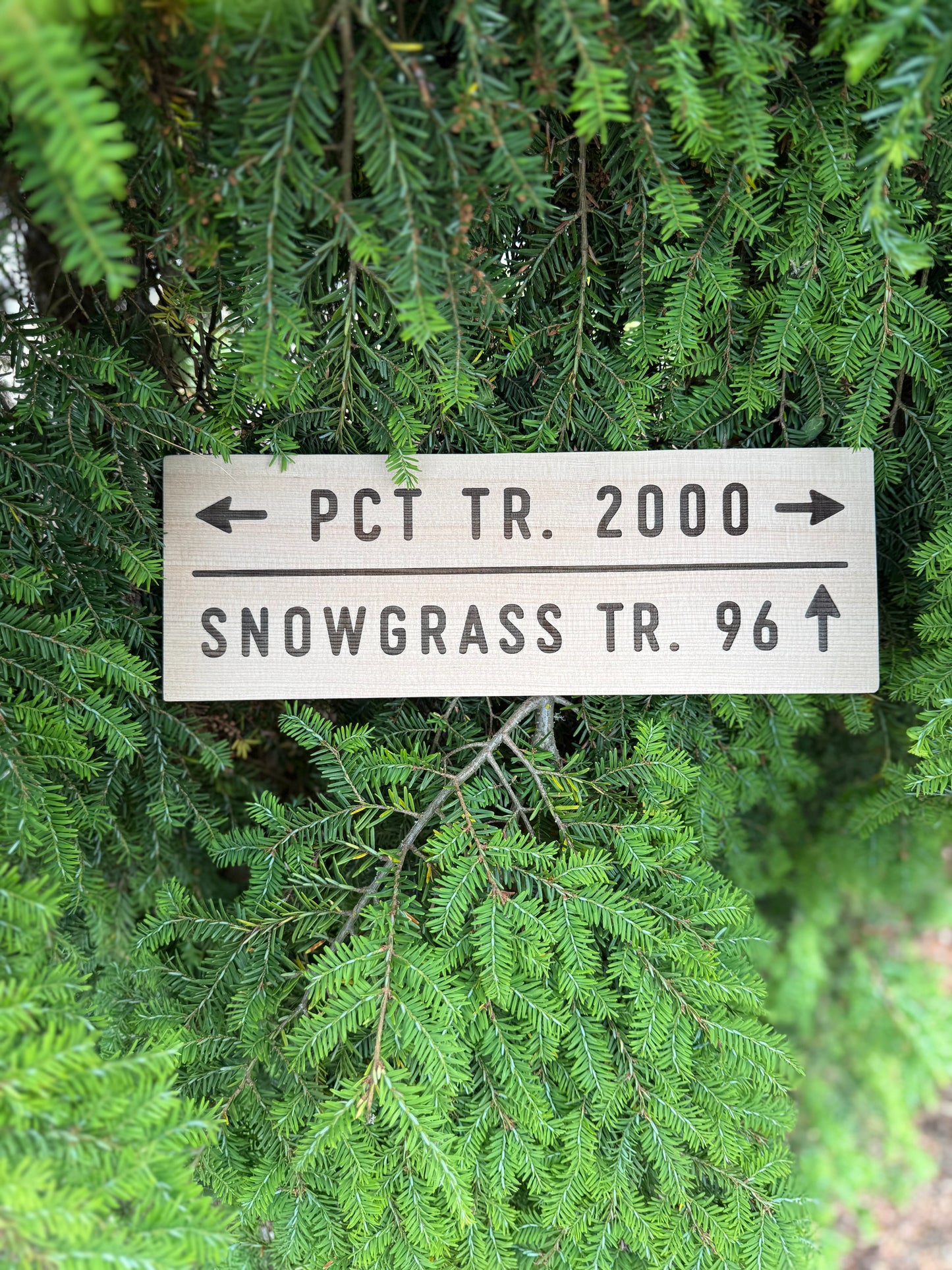 Pacific Crest Trail – Snowgrass Trail #96