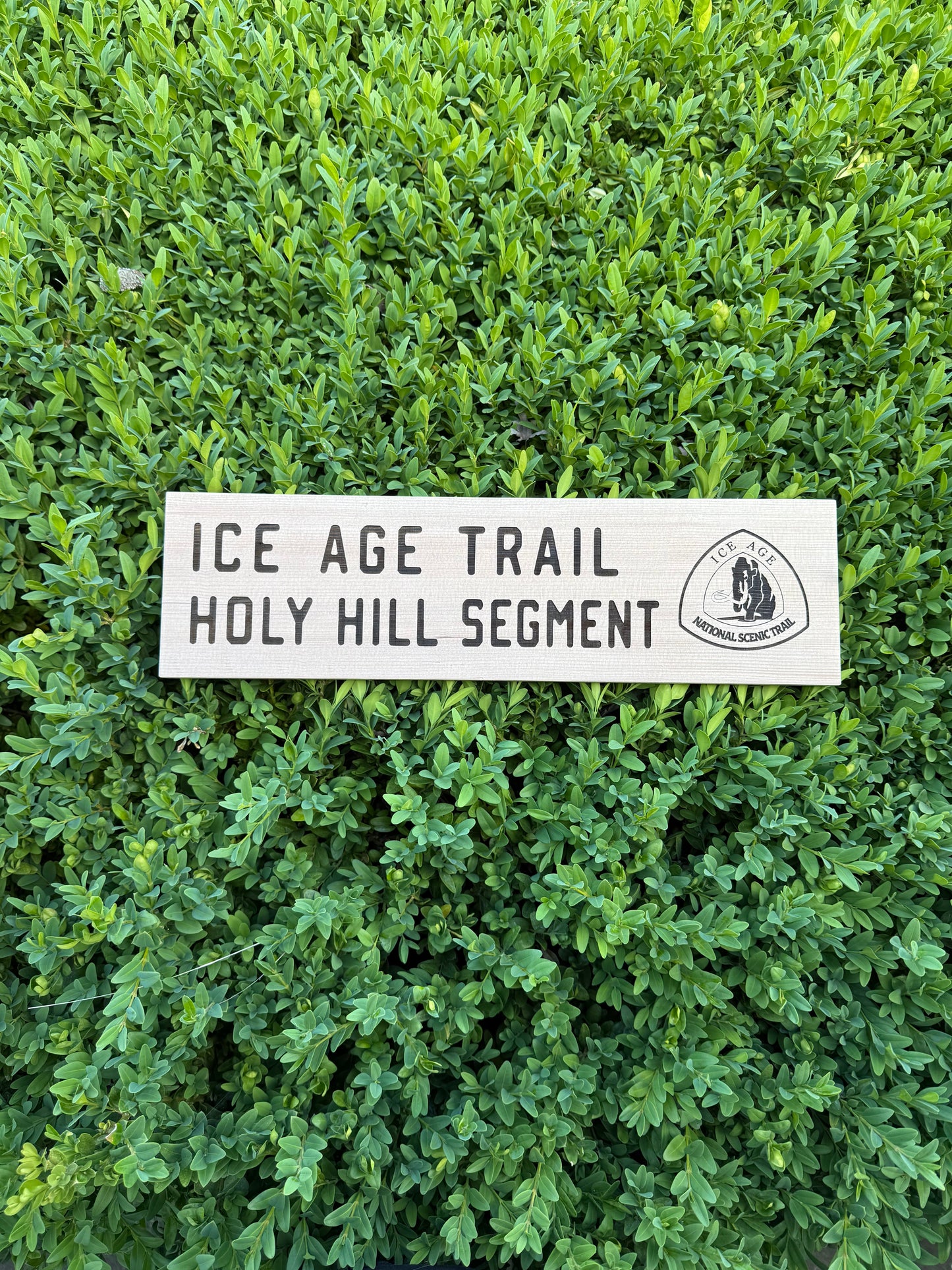 Ice Age Trail – Holy Hill Segment