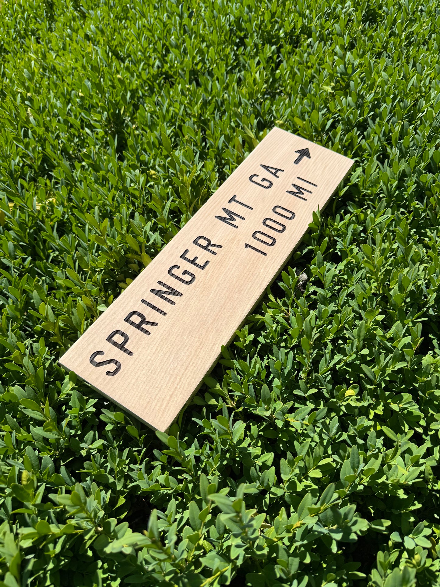 Wooden sign with text on grass