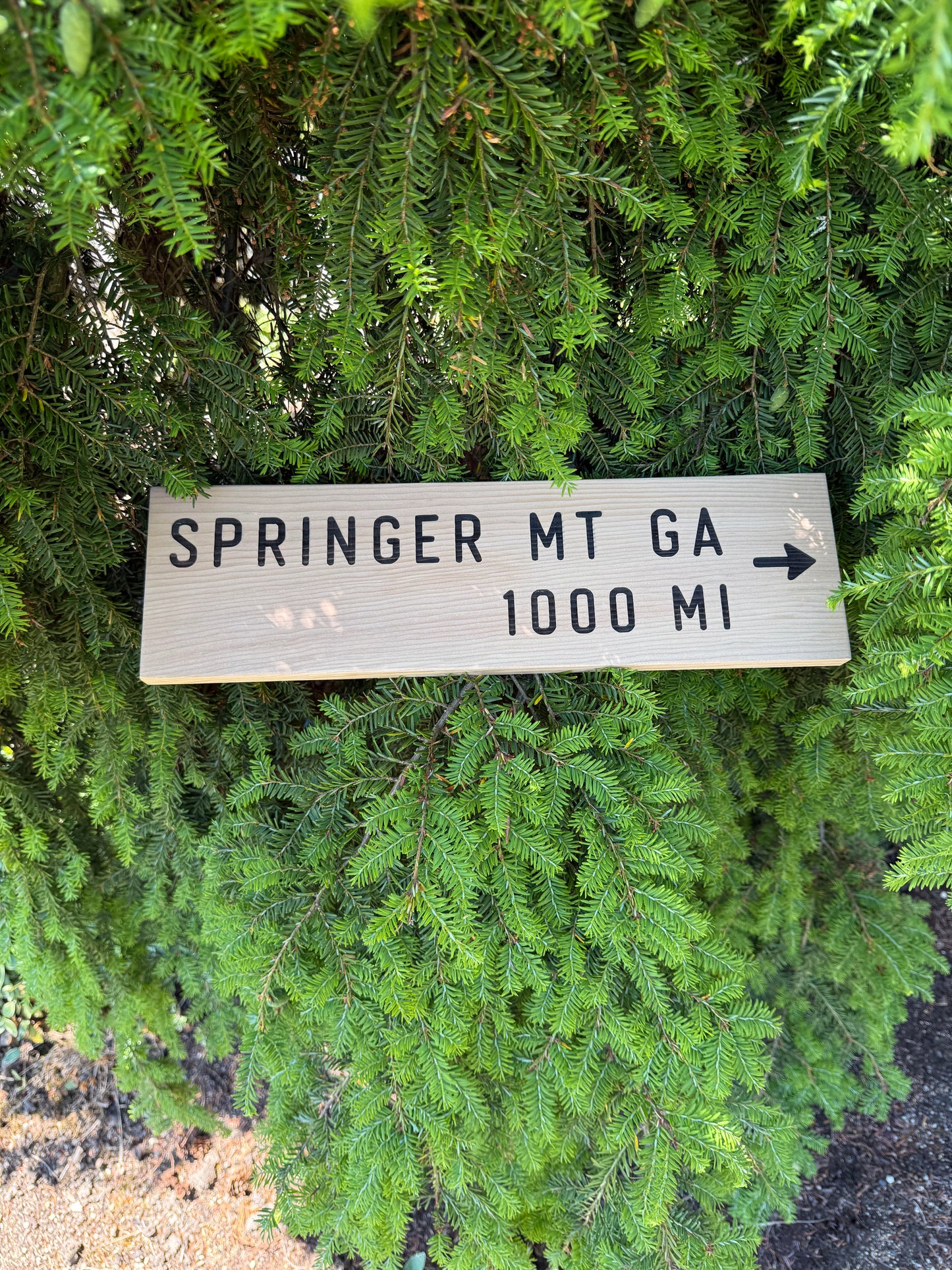 Appalachian Trail Sign – Springer Mountain