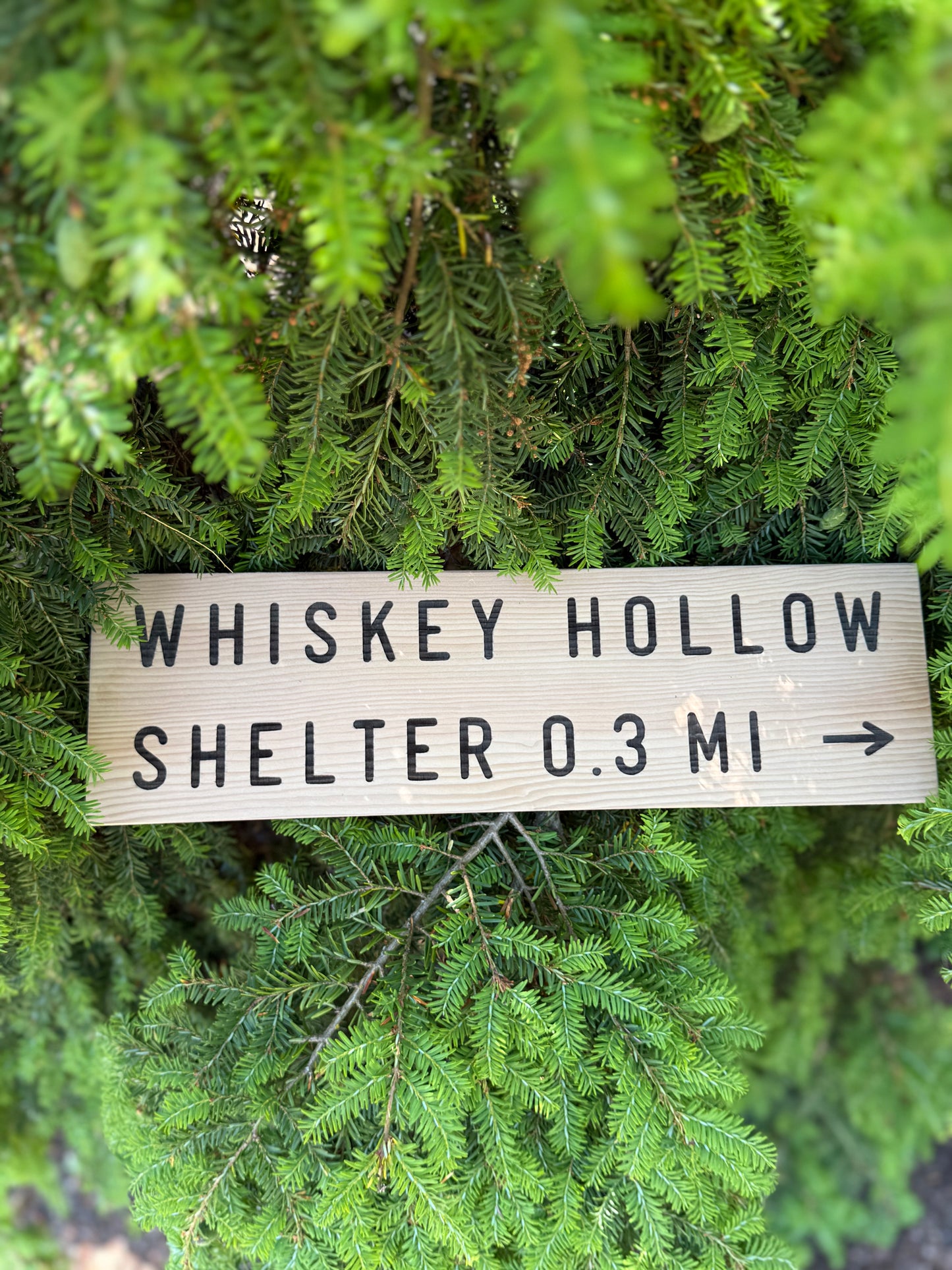 Appalachian Trail Sign – Whiskey Hollow Shelter