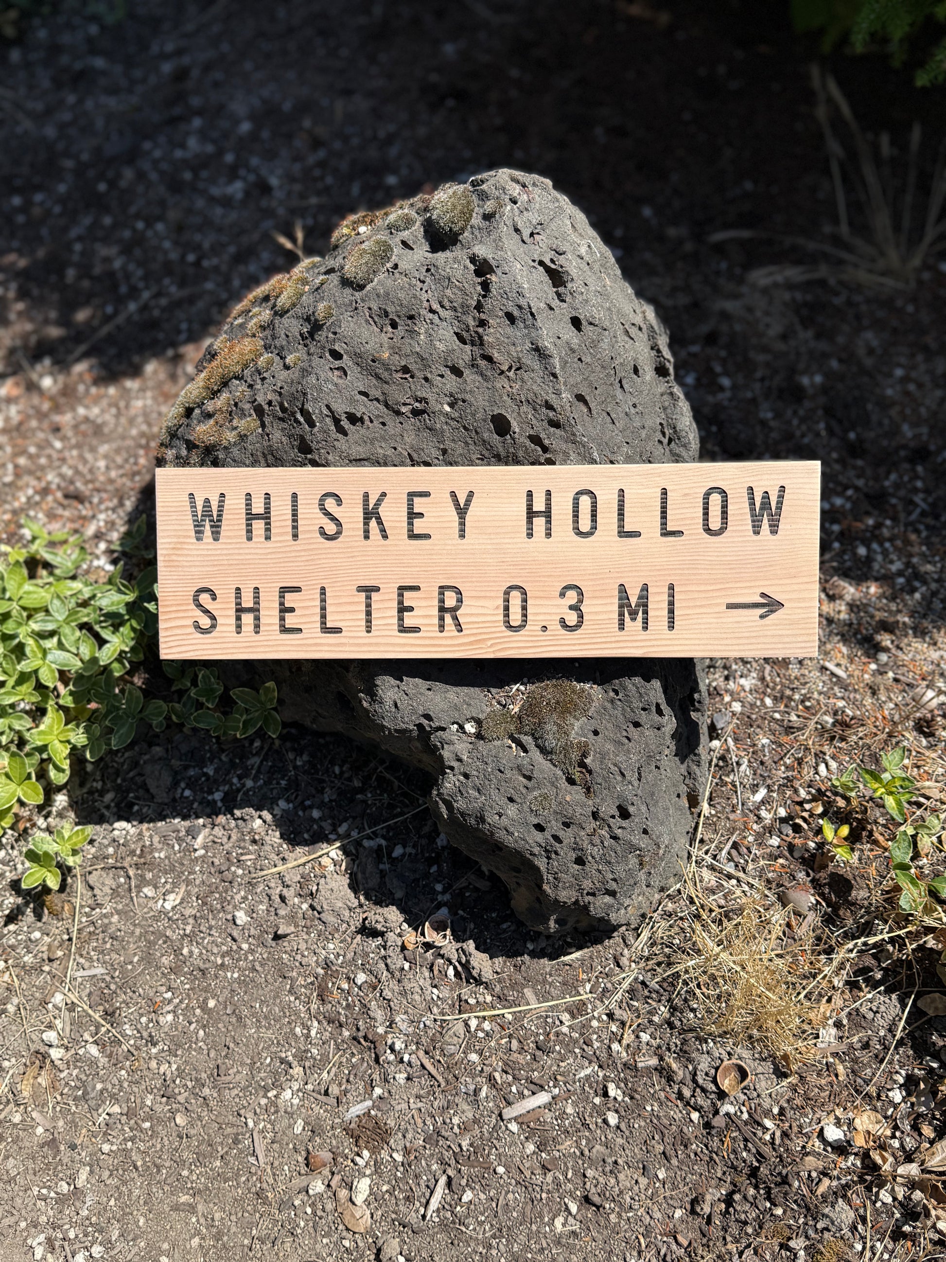 Wooden sign pointing to 'Whiskey Hollow Shelter 0.3 Mi' on a rock in a natural setting.