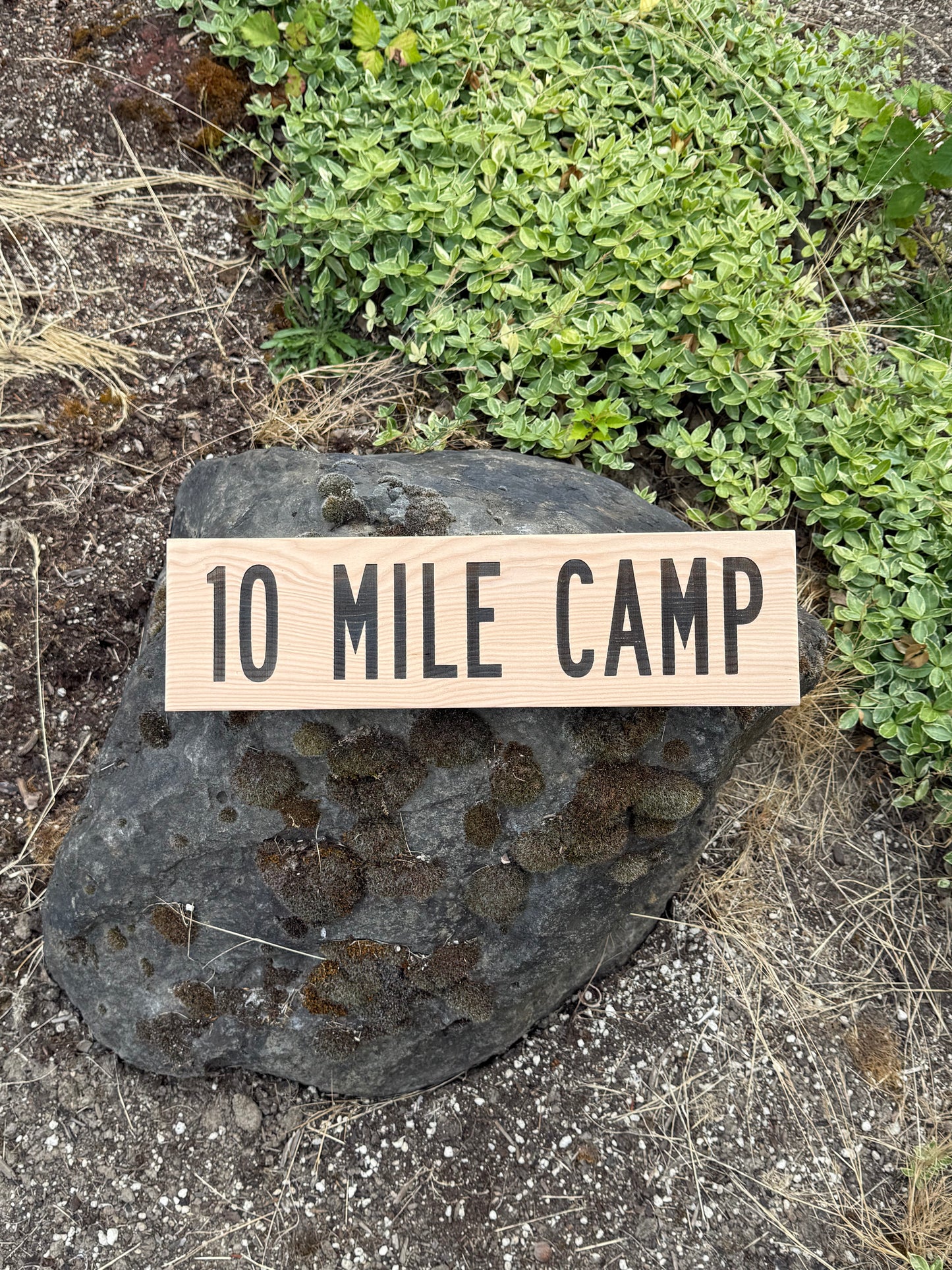 Wooden sign reading '10 Mile Camp' on a rock with grass in the background
