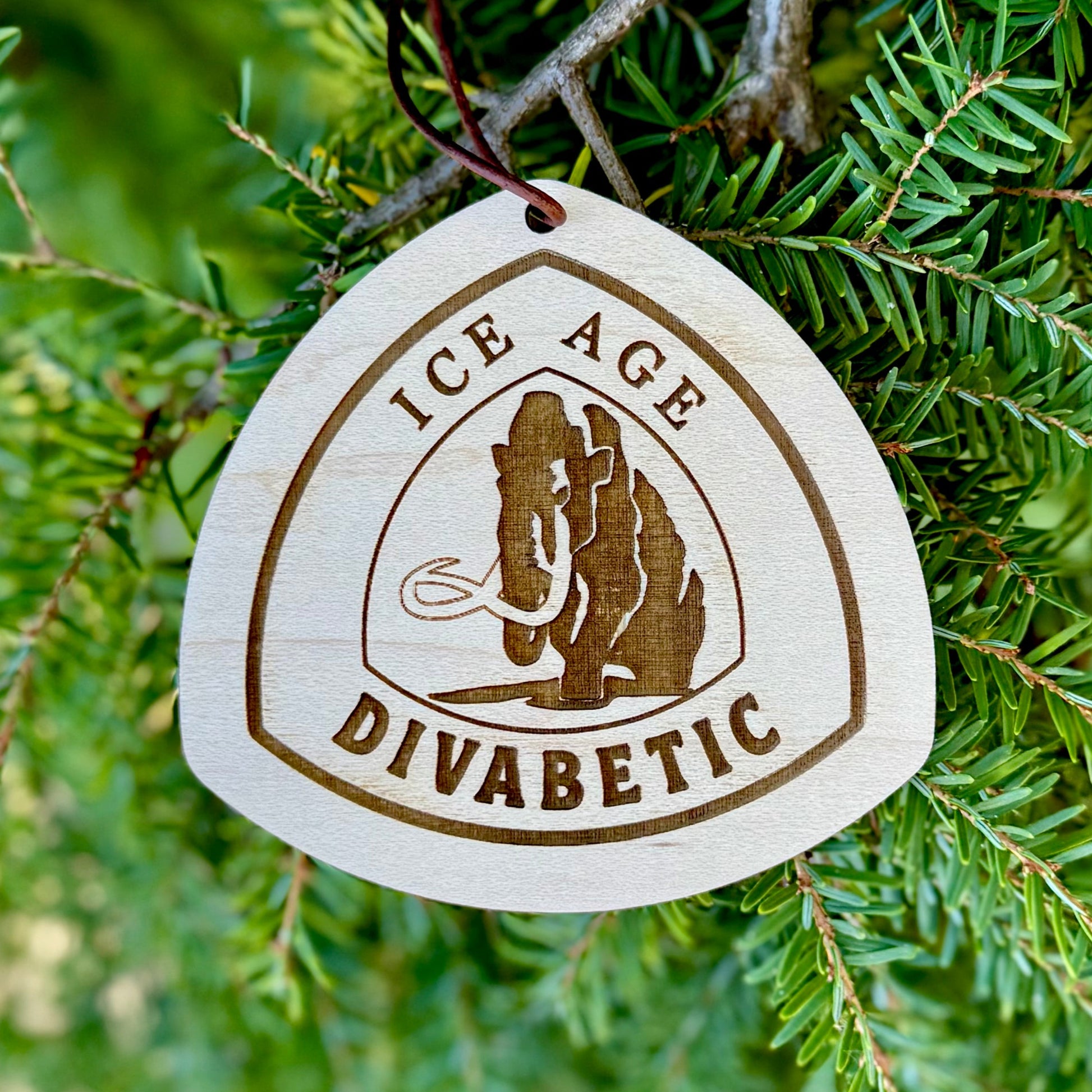 personalized wooden Ice Age Trail backpack tag with engraved trail name, laser engraved reclaimed wood Ice Age Trail name tag for hikers, custom Ice Age Trail thru-hiker gift lightweight wooden tag, handmade wooden Ice Age Trail keepsake with leather loop, eco-friendly Ice Age Trail hiking tag personalized with trail nickname, custom engraved wood Ice Age Trail badge for backpack or keychain, unique Ice Age Trail hiker gift lightweight wooden trail name tag, rustic handmade Ice Age Trail gear tag
