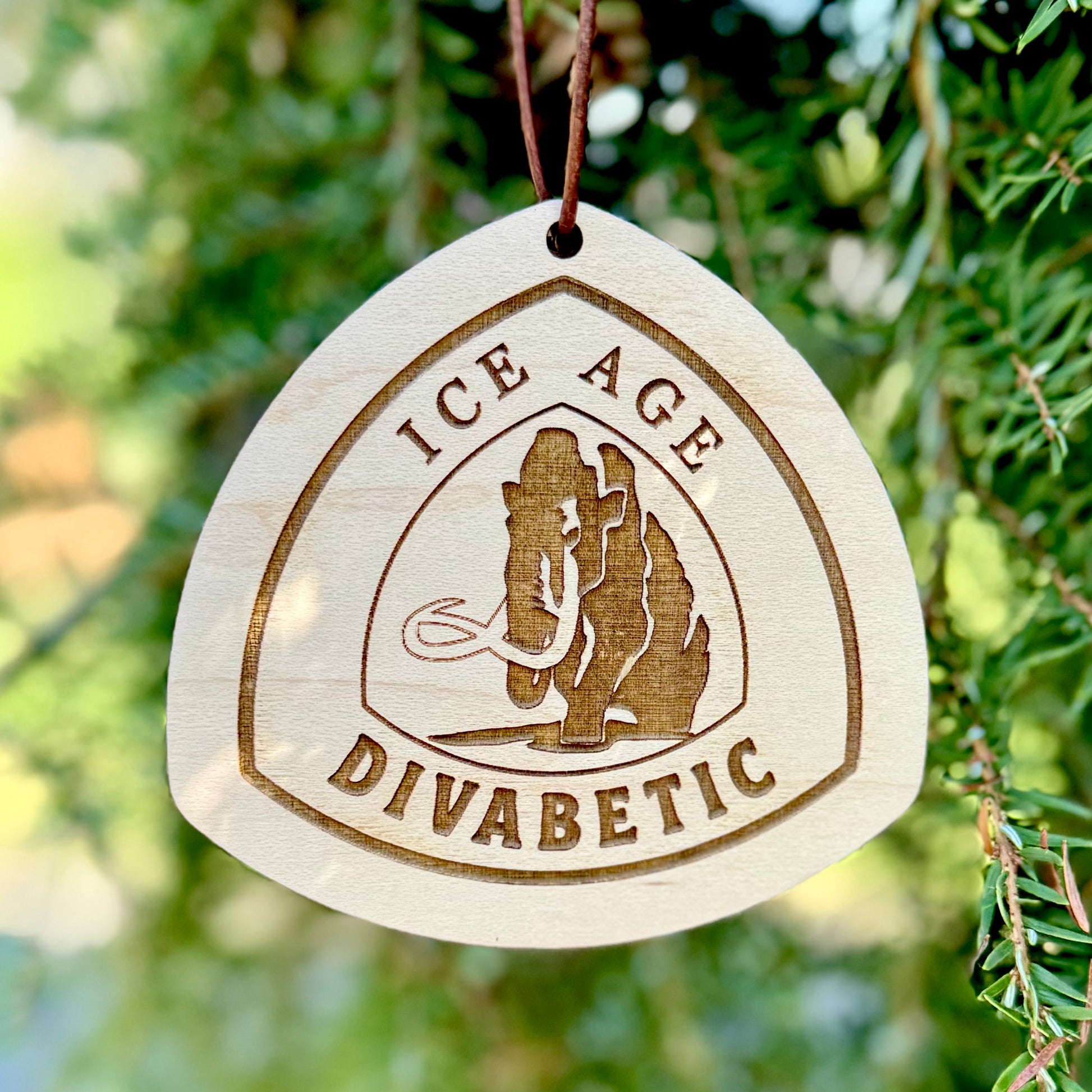 personalized wooden Ice Age Trail backpack tag with engraved trail name, laser engraved reclaimed wood Ice Age Trail name tag for hikers, custom Ice Age Trail thru-hiker gift lightweight wooden tag, handmade wooden Ice Age Trail keepsake with leather loop, eco-friendly Ice Age Trail hiking tag personalized with trail nickname, custom engraved wood Ice Age Trail badge for backpack or keychain, unique Ice Age Trail hiker gift lightweight wooden trail name tag, rustic handmade Ice Age Trail gear tag