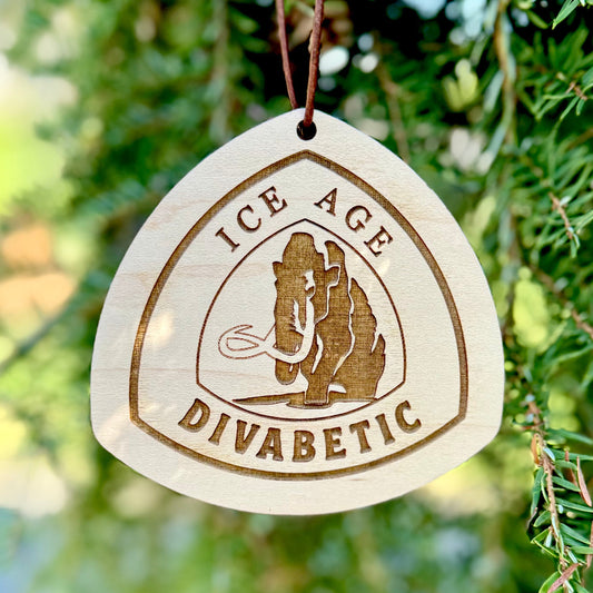 personalized wooden Ice Age Trail backpack tag with engraved trail name, laser engraved reclaimed wood Ice Age Trail name tag for hikers, custom Ice Age Trail thru-hiker gift lightweight wooden tag, handmade wooden Ice Age Trail keepsake with leather loop, eco-friendly Ice Age Trail hiking tag personalized with trail nickname, custom engraved wood Ice Age Trail badge for backpack or keychain, unique Ice Age Trail hiker gift lightweight wooden trail name tag, rustic handmade Ice Age Trail gear tag