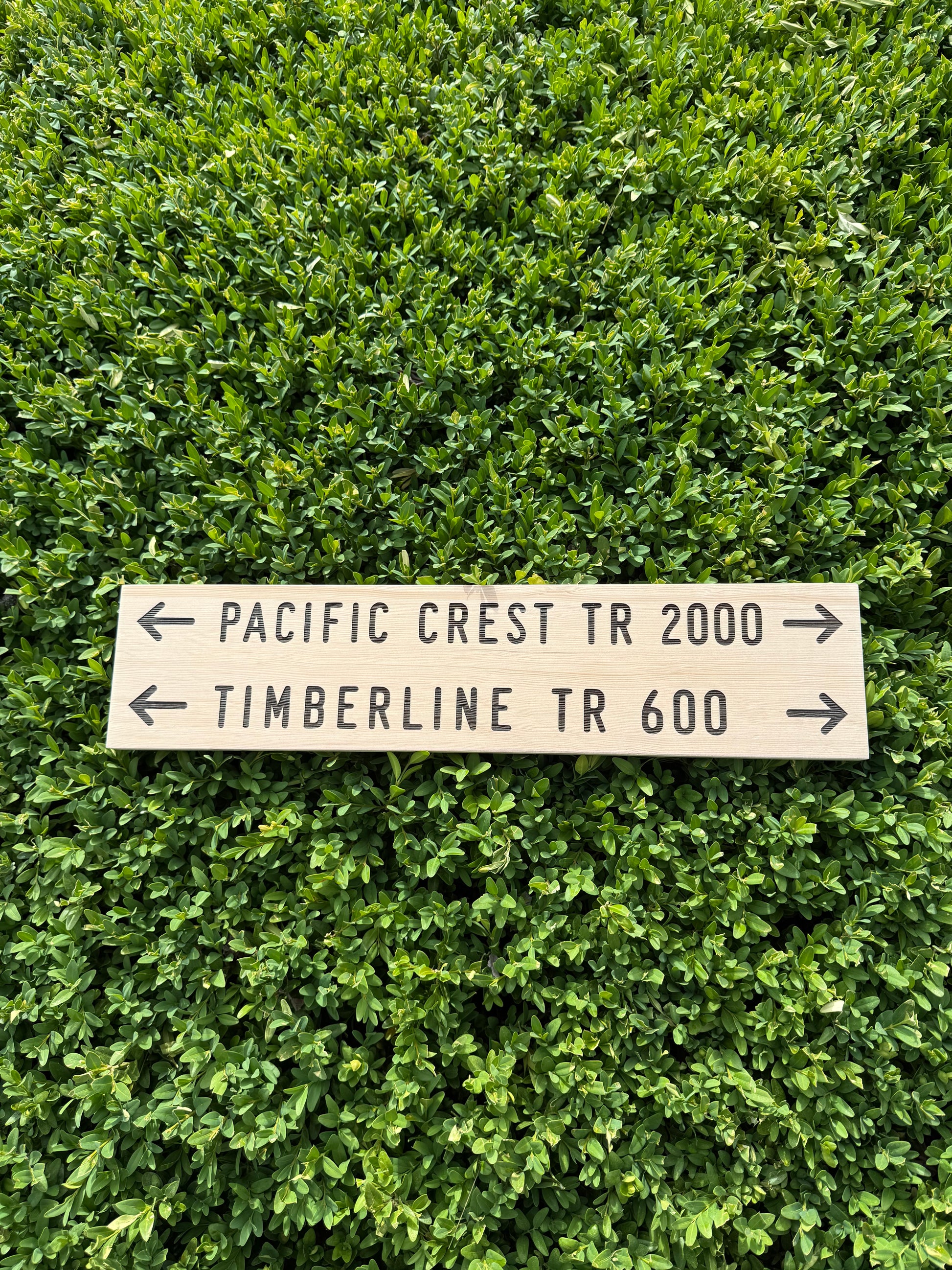 Handmade Timberline Trail 600 sign for anyone searching for a Pacific Crest Trail gift, Mount Hood hiking gift, or unique backpacking keepsake