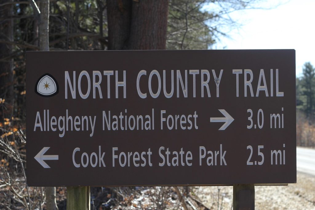North Country Trail – Alleghany National Forest