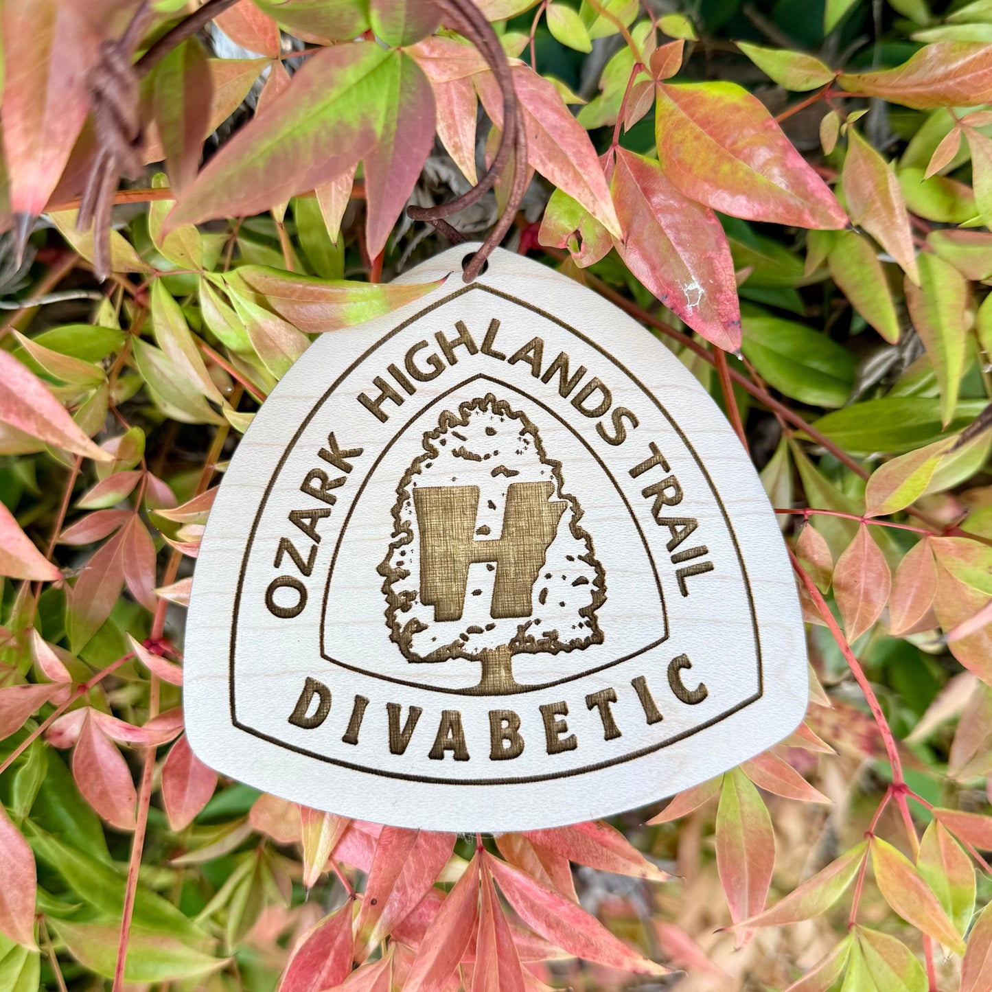 ozark highlands trail name tag personalized, custom ozark trail backpack tag, engraved wooden hiking tag ozark highlands, lightweight ozark trail keepsake, thru hiker gear tag ozark highlands trail, trail name tag ozark ornament, rustic engraved wood tag for hikers ozark, ozark trail angel gift idea, custom backpack charm ozark highlands trail, eco friendly wooden trail name badge ozark, unique hiking gift ozark highlands trail, ozark highlands trail souvenir tag personalized, OHT Tag Gift