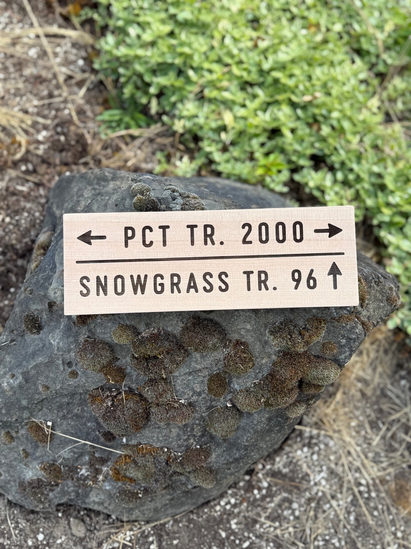 Pacific Crest Trail – Snowgrass Trail #96