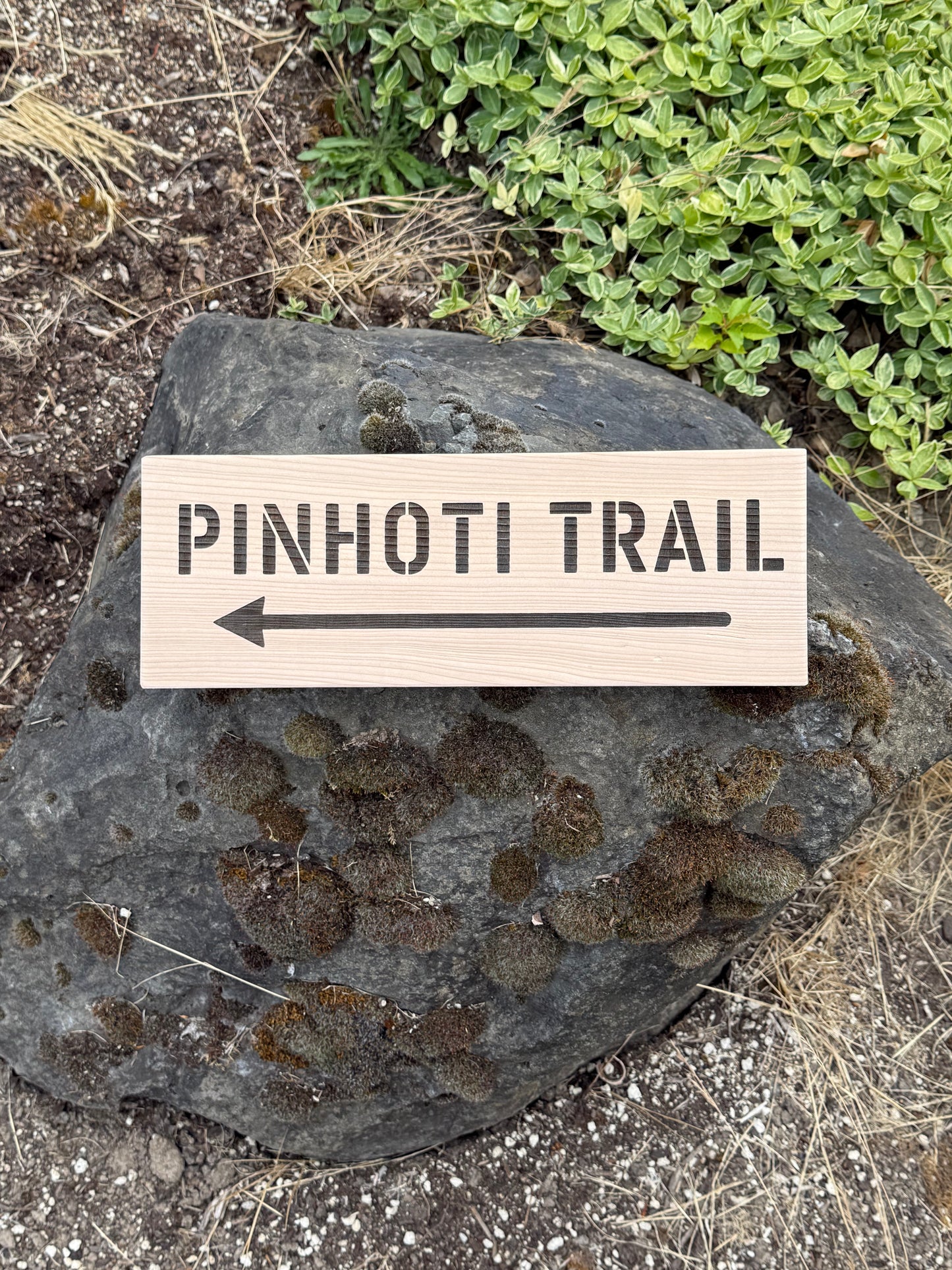 Wooden sign pointing to 'Pinhoti Trail' on a rock with greenery in the background