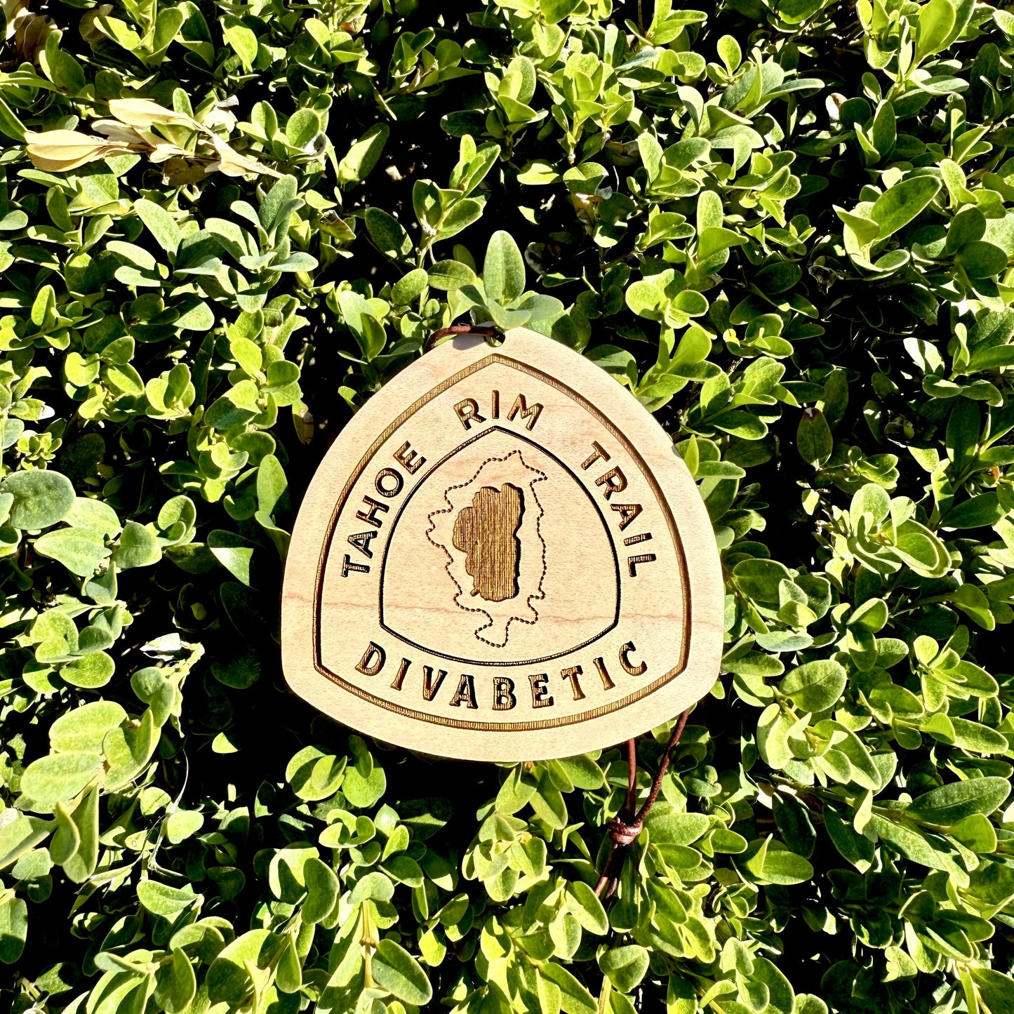 Tahoe Rim Trail trail name tag, custom wooden Tahoe Rim Trail backpack tag, personalized TRT hiker name tag, lightweight engraved wood hiking tag, thru-hiker Tahoe Rim Trail gear accessory, laser-engraved reclaimed wood Tahoe Rim Trail keepsake, rustic Tahoe Rim Trail hiker gift, Tahoe Rim Trail backpack ornament tag, eco-friendly wooden Tahoe Rim Trail trail magic gift, handmade personalized hiker trail tag for Tahoe Rim Trail