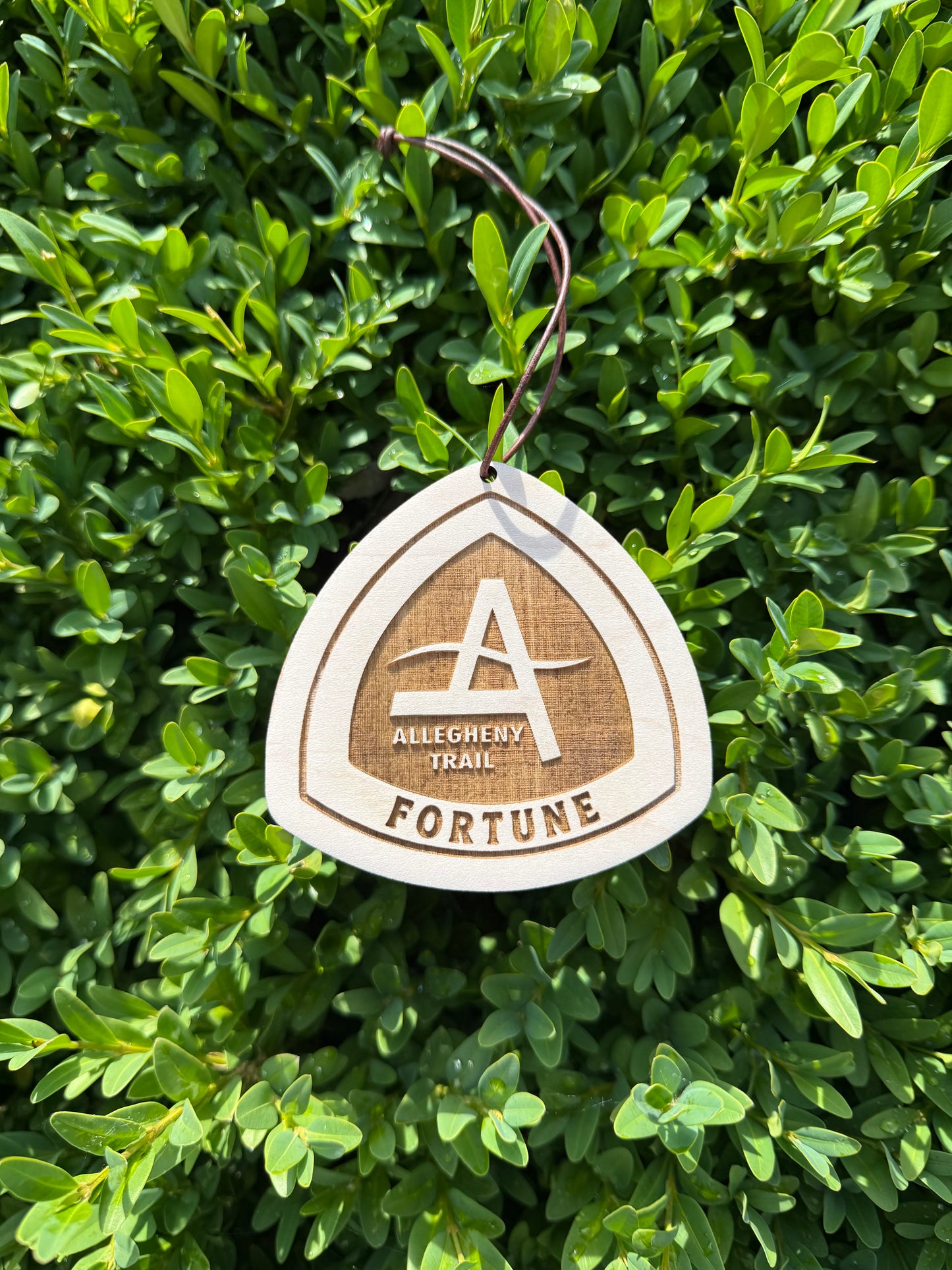 Personalized Allegheny Trail hiking tag displayed on a moss-covered rock outdoors. Custom wooden trail name tag designed for backpackers, thru hikers, section hikers, and outdoor enthusiasts.