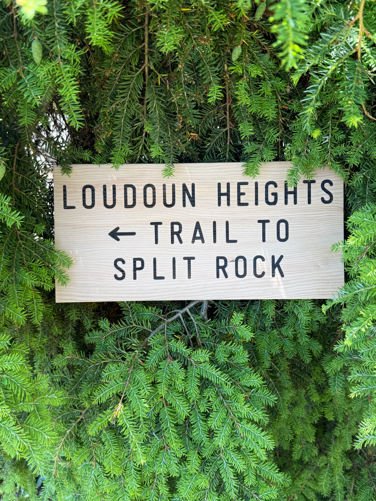 Collectible Appalachian Trail sign featuring Loudoun Heights Trail to Split Rock for hikers and outdoor adventurers