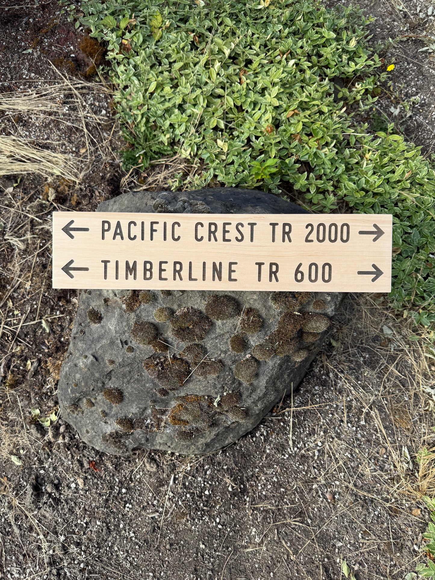 Handmade Timberline Trail 600 sign for anyone searching for a Pacific Crest Trail gift, Mount Hood hiking gift, or unique backpacking keepsake