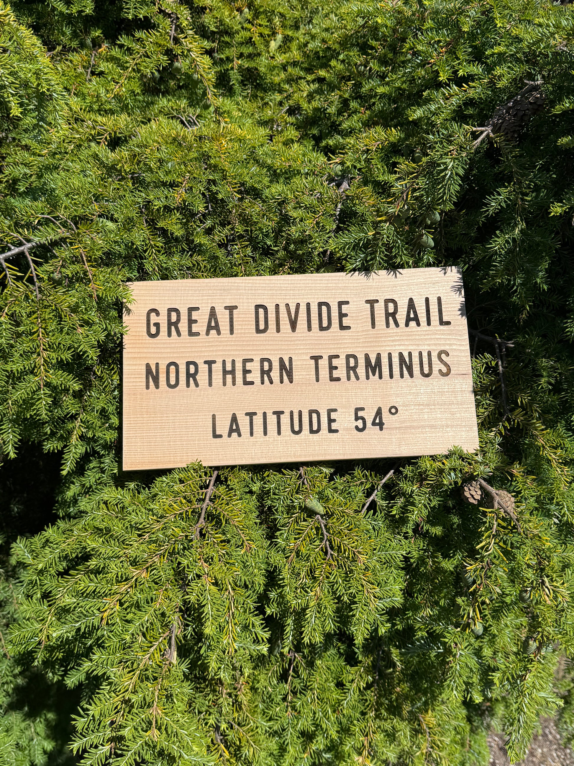 Great Divide Trail wooden sign celebrating iconic Canadian hiking adventures and outdoor exploration
