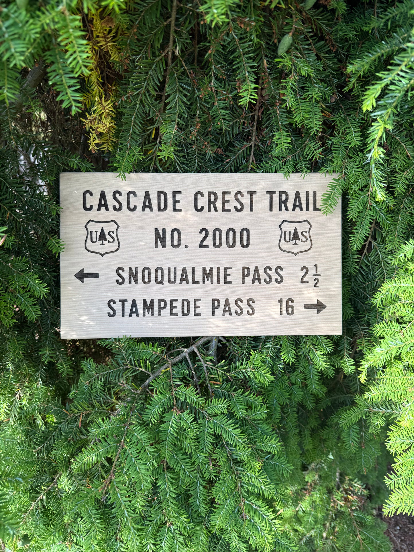 Cascade Crest Trail No 2000 wooden sign inspired by Pacific Crest Trail history and long-distance hiking adventures