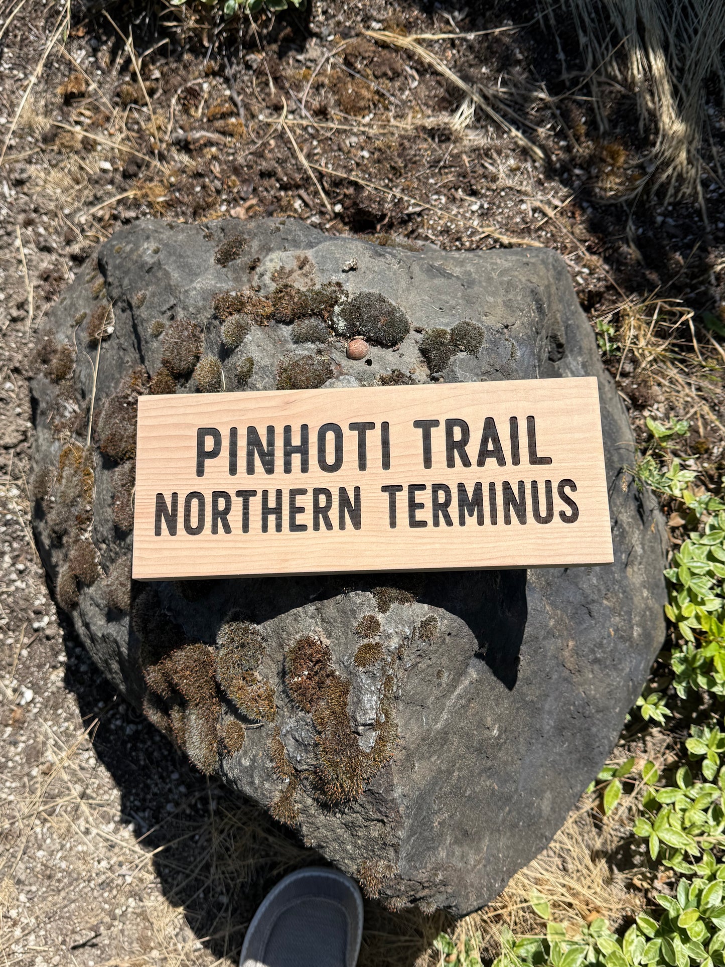 Handmade Pinhoti Trail Northern Terminus wall art featuring authentic trail sign styling