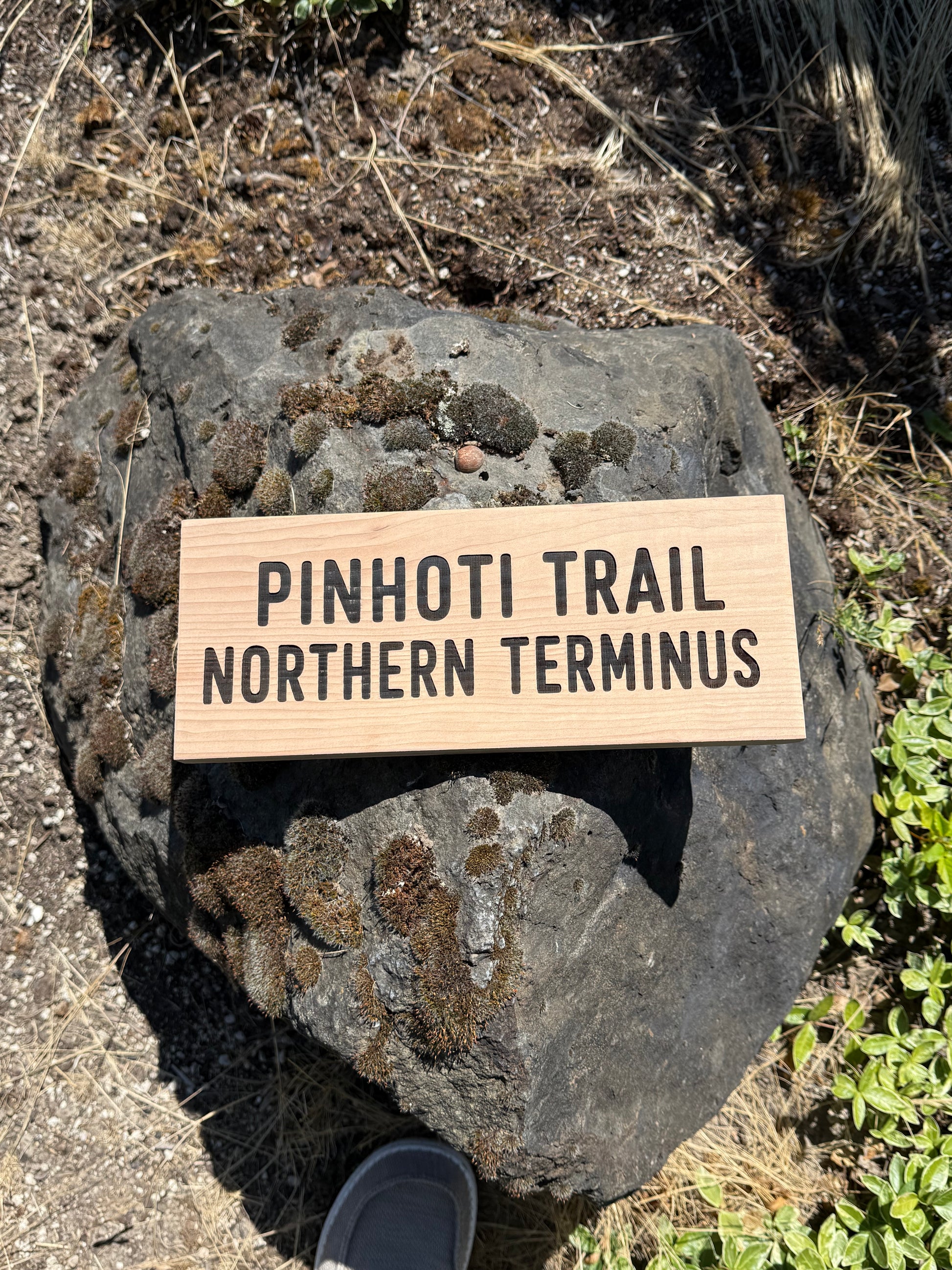 Handmade Pinhoti Trail Northern Terminus wall art featuring authentic trail sign styling