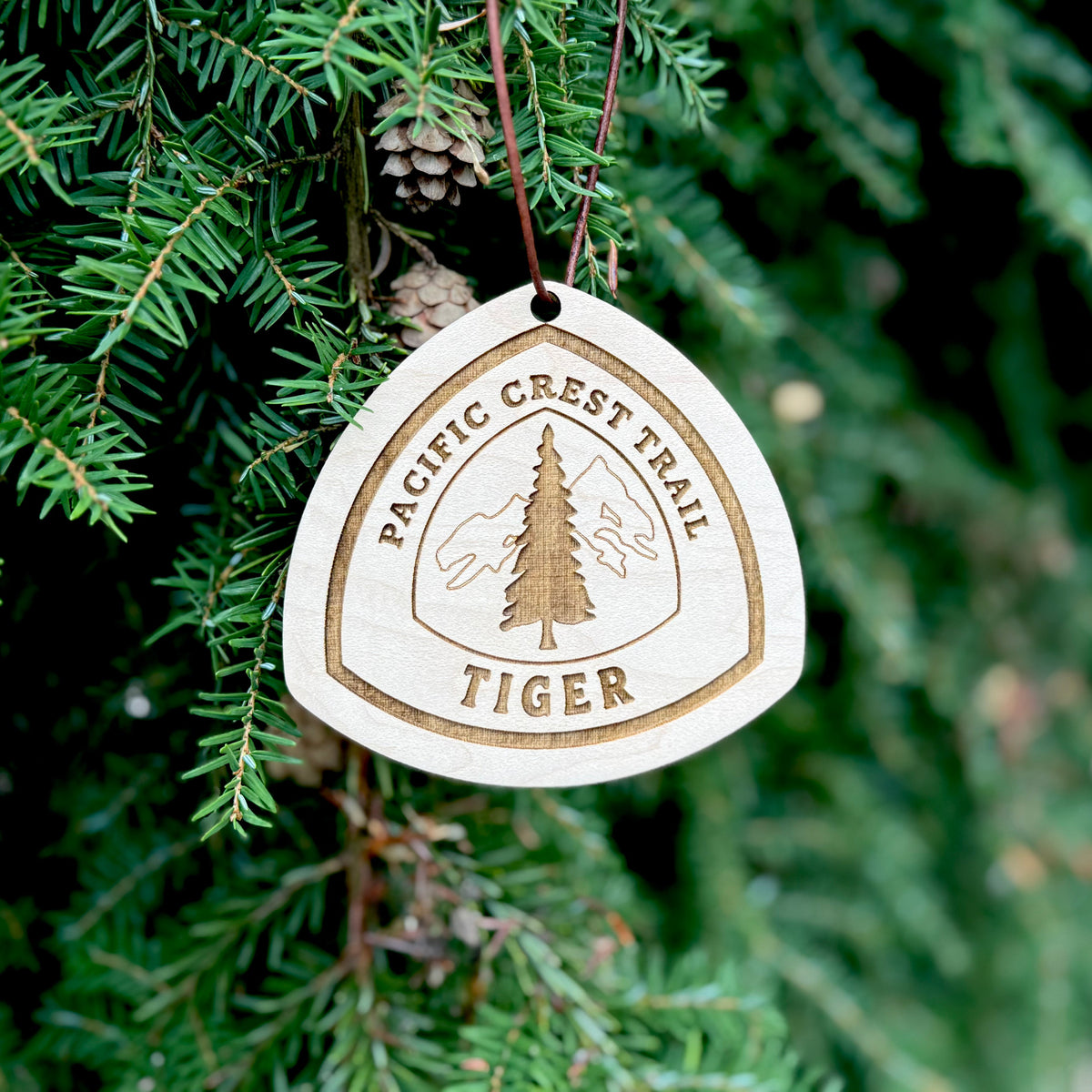 Engraved wooden trail tag displayed against evergreen forest foliage