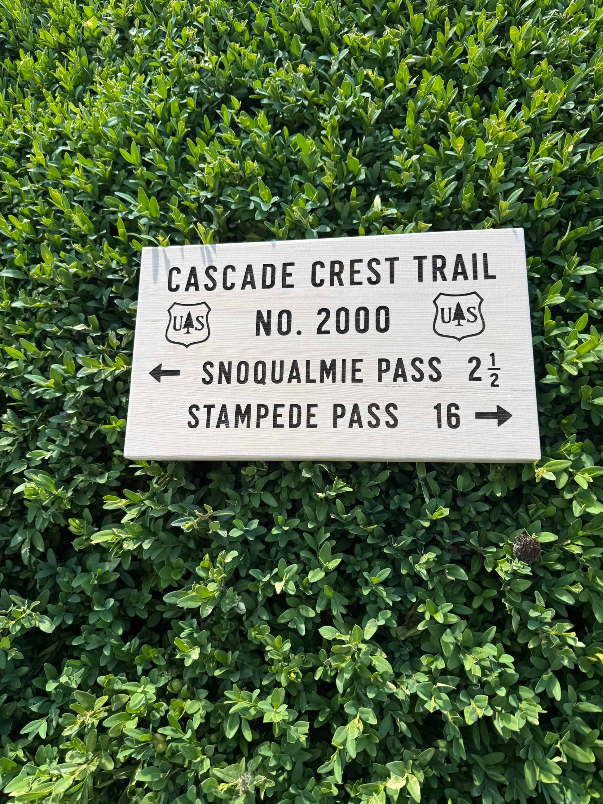 Unique gift for a Pacific Crest Trail hiker featuring a handcrafted Cascade Crest Trail No 2000 wooden trail sign