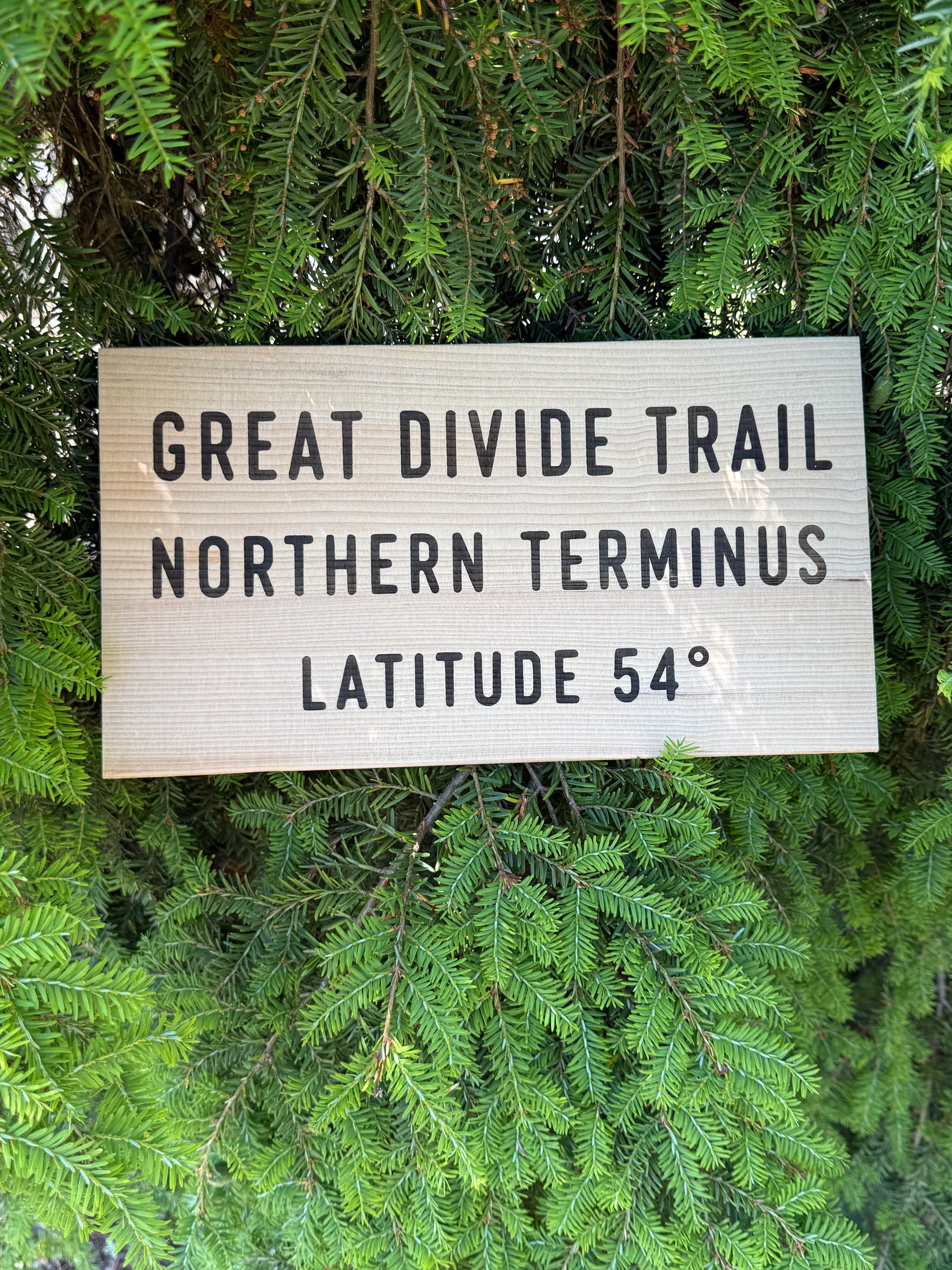 Handmade Great Divide Trail Northern Terminus sign, perfect gift for hikers, backpackers, and long-distance trail enthusiasts