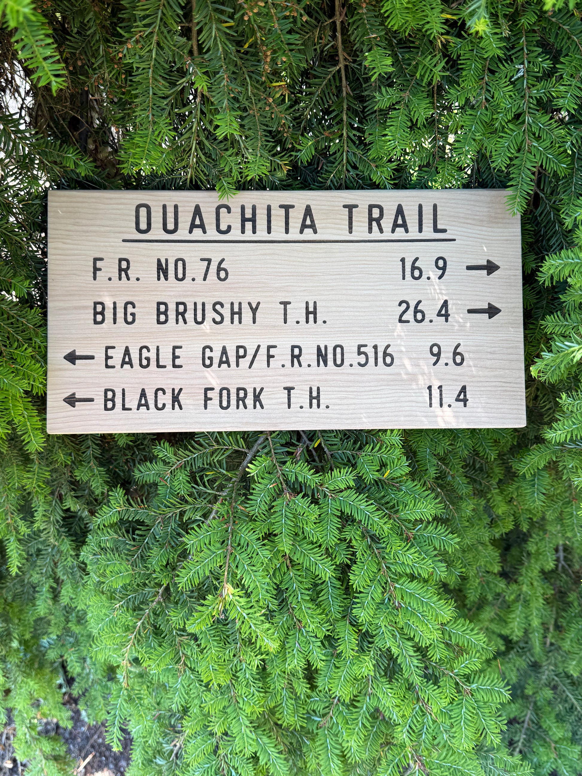 Handmade Ouachita Trail Eagle Gap Big Brushy wall art featuring authentic trail sign styling